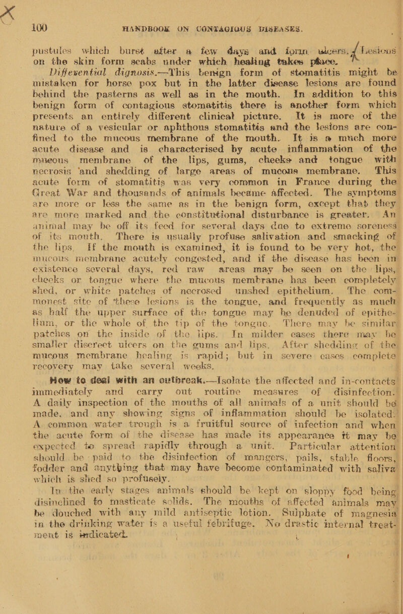 pustules which bursé after a few days and form ulcers. { Lesions ; on the skin form scabs under which healing takes pSace. Diffesential dignosis.—Yhis benign form of stomatitis might be mistaken for horse pox but in the latter disease lesions are found behind the pasterns as well as in the mouth. In addition to this benign form of contagious stomatitis there is another form which presents an entirely different clinical picture. It is more of the nature of a vesicular or aphthous stomatités and the lesfons are con- fined to the mucous membrane of the mouth. It is @ mtch more acute disease and is characterised by acute inflammation of the mueous membrane of the lips, gums, cheeks and tongue with necrosis ‘and shedding of ltarge areas of mucous membrane. This acute form of stomatitis was very common in France during the Great War and thousands of animals became affected. The symptoms are more or less the same as in the benign form, except that they are more marked and the constitutional disturbance is greater. An animal may be off its feed for several days due to extreme soreness of its mouth. There is usually profuse salivation and smacking of the lips. If the mouth is examined, it is found to be very hot, the mucous membrane acutely congested, and if the disease has been in existence several days, red raw areas may be seen on the : lips, cheeks or tongue where the mucous membrane has been completely shed, or white patches of necrosed unshed epithelium. The com- monest site of these lesions is the tongue, and frequently as much as half the upper surface of the tongue may he denuded of epithe- lium, or the whole of the tip of the tongue. There may be similar, patches on the inside of the lips. In milder cases there may he smaller discreet ulcers on the gums and lips. After shedding of the mucous membrane healing is rapid; but in severe cases complete recovery may take several weeks. How te deal with an outbreak.—Isolate the affected and in-contacts immediately and carry out routine measures of disinfection. A daily inspection of the mouths of all animals of a unit should be made, and any showing signs of inflammation should he isolated. A common water trough is a fruitful source of infection and when the acute form of the disease has made its appearance tt may be expected to spread rapidly through a unit. Particular attention should be paid to the disinfection of mangers, pails, stable floors, fodder and anything that may have become contaminated with saliva which is shed so profusely. In the early stages animals should be kept on sloppy food being disinclined to masticate solids. The mouths of affected animals may be douched with any mild antiseptic lotion. Sulphate of magnesia | in the drinking water is a useful febrifuge. Ne drastic mternal treat- ment is mrdicatecd. a |