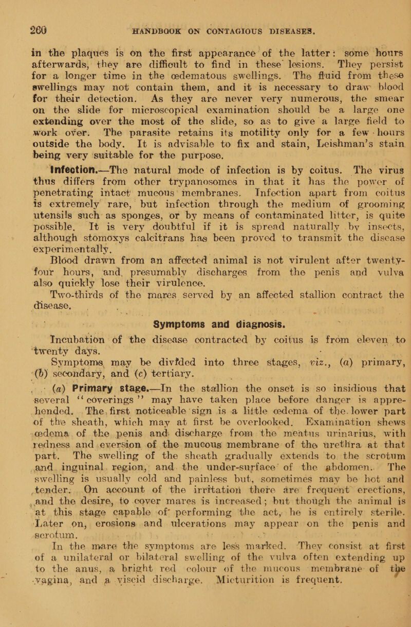 in the plaques is on the first appearance of the latter: some hours afterwards, they are difficult to find in these lesions. They persist for a longer time in the odematous swellings. The fluid from these swellings may not contain them, and it is necessary to draw blood for their detection. As they are never very numerous, the smear on the slide for microscopical examination should be a large one extending over the most of the slide, so as to give a large field to work over. The parasite retains its motility only for a few - hours outside the body. It is advisable to fix and stain, Leishman’s stain being very ‘suitable for the purpose. “tnfection.—The natural mode of infection is by coitus. The virus thus differs from other trypanosomes in that it has. the power of penetrating intact’ mucous’ membranes. Infection apart from coitus is extremely rare, but infection through the medium of grooming utensils such’ as sponges, or by means of contaminated litter, is quite possible, It is very doubtful if it is spread naturally by insects, although stomoxys calcitrans has been proved to transmit the disease éxperimentally. Blood drawn from an affected animal is not virulent after twenty- four hours, and, presumably discharges from the penis and vulva also quickly lose their virulence. Two-thirds of the mares served by an affected stallion contract the disease. . “Symptoms and easiest: | Incubation of the disease contracted by coitus is from eleven. to ‘twenty days. “ Symptoms may be divfded into three stages, bee (a) primary, ©) secondary, and (c) tertiary. (a) Primary stage.—In the abaalidie bk ahedt is so insidious that coders ‘‘ coverings’? may have taken place before danger is appre- hended. . The, first noticeable ‘sign is .a little edema of the. lower part of the sheath, which may at first be overlooked. Examination shews-. .edema.of the penis and: discharge from the meatus urinarius, with redness and.eversion of the mucous membrane of the urethra at that part. The swelling of the sheath gradually extends to the scrotum and. inguinal, region, and.+the under-surface’ of the abdomen. The swelling is usually cold and painless but, sometimes may be hot and _tender. On account of the irritation there are frequent erections, and the desire, to cover mares is increased; but though the animal is - at this stage capable of performing the act, he is entirely sterile. ‘Later on, erosions and ficersijons may appear on the penis and serotum., . pc BNL aM In the mare “tte symptoms are leak Marked: ‘They consist at first of a unilateral or bilateral swelling of the vulva often extending up to the anus, a bright red colour of the mucous ‘membrane: of the vagina, and a viscid discharge. Micturition is frequent.