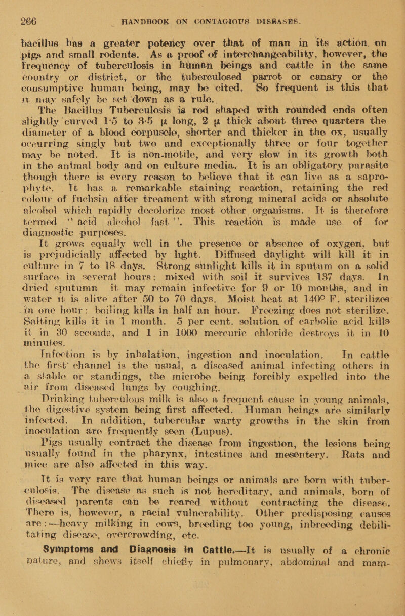 bacillus has a greater potency over that of man in its action on pigs and small rodents. As a proof of interchangeability, however, the frequency of tuberculosis in human beings and cattle in the same country or district, or the tuberculosed parrot or canary or the consumptive human being, may be cited. So frequent is this that momay safely be set down as a rule.. The Bacillus Tuberculosis is red shaped with rounded ends often slightly curved 1:5 to 3-5 p long, 2 pw thick about three quarters the diameter of a blood corpuscle, shorter and thicker in the ox, usually occurring singly but two and exceptionally three or four together may be noted. It is non-motile, and very slow in its growth both in the animal body and on culture media. It is an obligatory, parasite though there is every reason to believe that it can live as a sapro- phyte. It has a remarkable staining reaction, retaining the red colour of fuchsin atter treament with strong mineral acids or absolute aleohol which rapidly decolorize most other organisms. It is therefore termed ‘‘ acid aleohol fast ’’. This reaction is made use of for diagnostic purposes, Ti grows equally well in the presence or absence of oxygen, but! is prejudicially affected by hght. Diffused daylight will kill it in- culture in 7 to 18 days. Strong sunlight kills it in sputum on a solid surface in several hours: mixed with soil it survives 187 days. In dried sputumn it may remain infective for 9 or 10 months, and in water 1t is alive after 50 to 70 days. Moist heat at 140° F. sterilizes: -in one hour: boiling kills in half an hour. Freezing does not sterilize. Salting kills it in 1 month. 5 per cent. solution of carbolic acid kills it in 380 seconds, and 1 in 1000 mercuric chloride destroys it in 10 minutes, : Infection is by inhalation, ingestion and inoculation. In cattle the first’ channel is the nsual, a discased animal infecting others in a stable or standings, the microbe being forcibly expelled into the air from diseased lungs by coughing, Drinking tuberculous milk is also a frequent cause in young animals, the digestive system being first affected. Human beings are similarly infected. In addition, tubercular warty growths in the skin from inoculation are frequently seen (Lupus). . Pigs usually contract the disease from ingestion, the lesions being usually found in the pharynx, intestincs and mesentery. Rats and mice are also affected in this way. Tt ig very rare that human beings or animals are born with tuber- culosis, The disease as such is not hereditary, and animals, born of diseased parents can be reared without contracting the disease. There is, however, a racial vulnerability. Other predisposing causes are:—heavy milking in cows, breeding too young, inbreeding debili- tating discare, overcrowding, cte. Symptoms and Diagnosis in Cattle.—It is usually of a chronic nature, and shews itself chiefly in pulmonary, abdominal and mam-