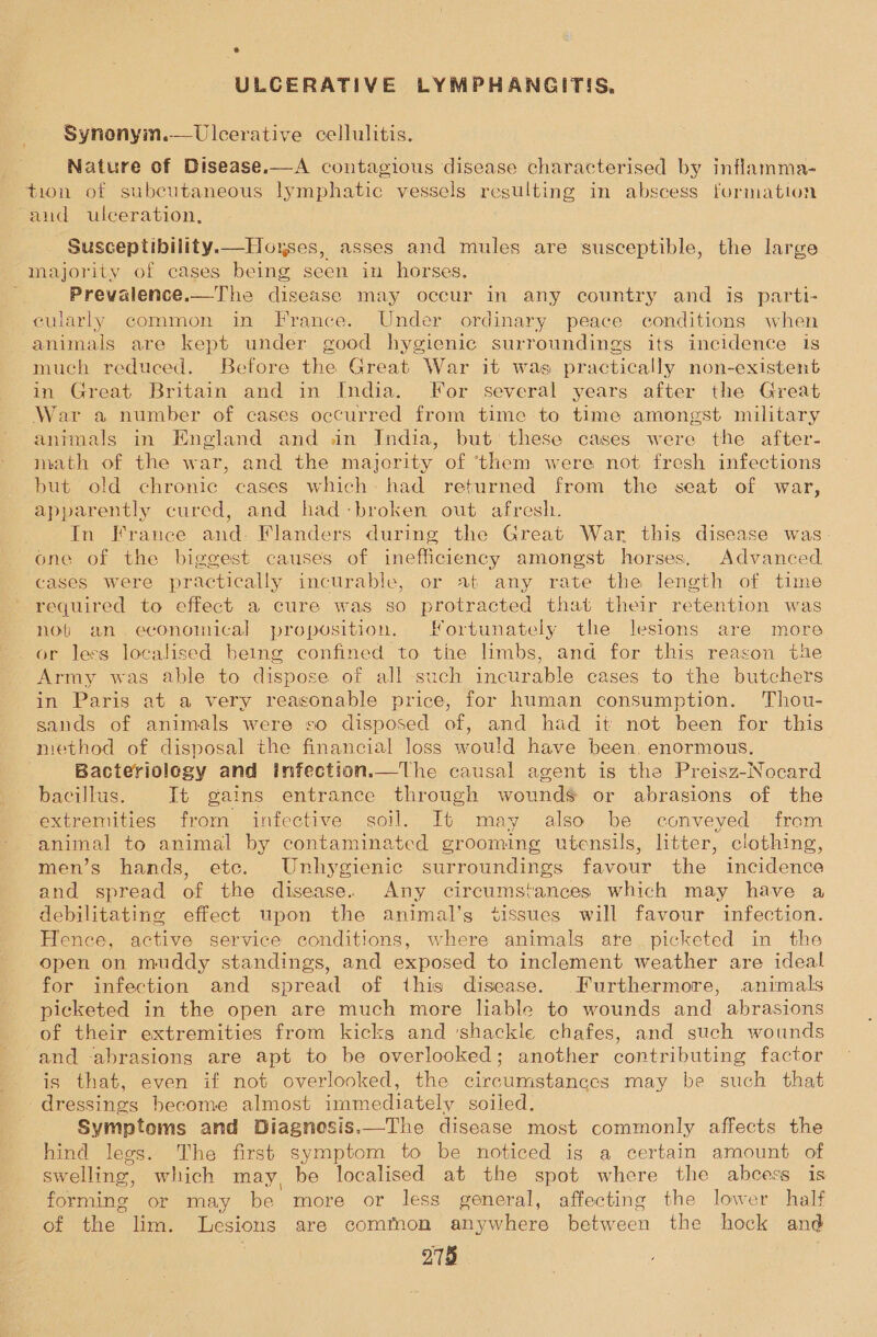 ULCERATIVE LYMPHANGITIS. Synonyin.— Ulcerative cellulitis. Nature of Disease.—A contagious disease characterised by inflamma- tion of subcutaneous lymphatic vessels resulting in abscess formation aud ulceration, Susceptibilityk—Hoxses, asses and mules are susceptible, the large majority of cases being seen in horses. : Prevalence.—The disease may occur in any country and is parti- eularly common in France. Under ordinary peace conditions when animals are kept under good hygienic surroundings its incidence is much reduced. Before the Great War it was practically non-existent in Great Britain and in India. For several years after the Great War a number of cases occurred from time to time amongst military animals in England and in India, but these cases were the after- math of the war, and the majority of ‘them were not fresh infections but old chronic cases which had returned from the seat of war, apparently cured, and had-broken out afresh. In France and- Flanders during the Great War this disease was. one of the biggest causes of inefficiency amongst horses. Advanced cases were practically incurable, or at any rate the length of time required to effect a cure was so protracted that their retention was not an economical proposition. Fortunately the lesions are more or less localised being confined to the limbs, and for this reason the Army was able to dispose of all such peu pie eases to the butchers in Paris at a very reasonable price, for human consumption. Thou- sands of animals were so disposed of, and had it not been for this method of disposal the financial loss would have been, enormous. Bacteriology and infection.—The causal agent is the Preisz-Nocard bacillus. It gains entrance through wounds or abrasions of the extremities from infective soil. It may also be conveyed from animal to animal by contaminated grooming utensils, litter, clothing, men’s hands, etc. Unhygienic surroundings favour the incidence and spread of the disease. Any circumstances which may have a debilitating effect upon the animal’s tissues will favour infection. Hence, active service conditions, where animals ate. picketed in the open on muddy standings, and exposed to inclement weather are ideal for infection and spread of this disease. Furthermore, animals picketed in the open are much more liable to wounds and abrasions of their extremities from kicks and ‘shackle chafes, and such wounds and -abrasions are apt to be overlooked; another contributing factor is that, even if not overlooked, the circumstances may be such that dressings become almost immediately soiled. Symptoms and Diagnosis.—The disease most commonly affects the hind legs. The first symptom to be noticed is a certain amount of swelling, which may, be localised at the spot where the abcess is forming or may be more or less general, affecting the lower half of the lim. Lesions are comfnon anywhere between the hock and 