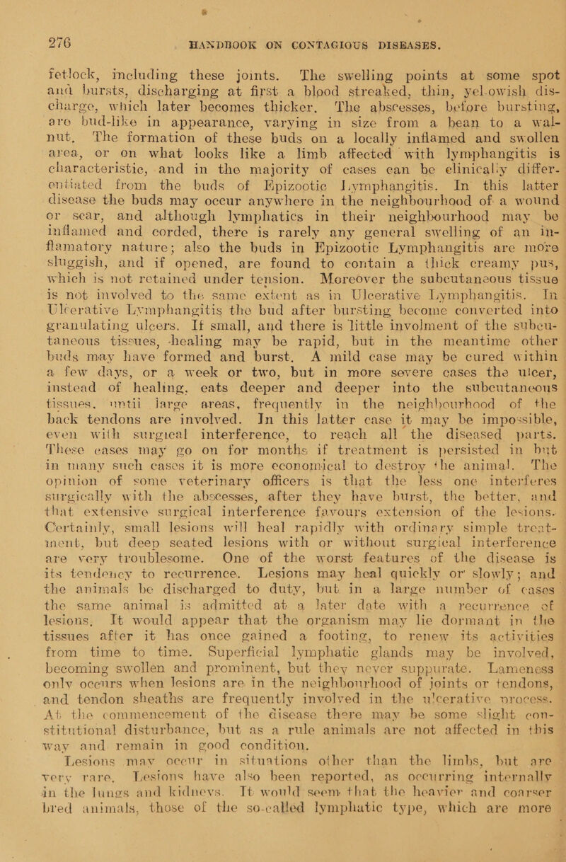 fetlock, including these joints. The swelling points at some spot and bursts, discharging at first a blood streaked, thin, yel-owish dis- charge, which later becomes thicker, The abscesses, before bursting, are bud-hke in appearance, varying in size from a bean to a wal- nut, The formation of these buds on a locally inflamed and swollen area, or on what looks like a limb affected with lymphangitis is characteristic, and in the majority of cases can be elinical:y differ- entiated from the buds of Epizootic Iimphangitis. In this latter disease the buds may occur anywhere in the neighbourhood of a wound or sear, and although lymphatics in their neighbourhood may _ be inflamed and corded, there is rarely any general swelling of an in- flamatory nature; also the buds in Epizootic Lymphangitis are mor sluggish, and if opened, are found to contain a thick creamy pus, which is not retained under tension. Mereover the subcutaneous tissue is not involved to the same extent as in Ulcerative Lymphangitis. In Ulcerative Lymphangitis the bud after bursting become converted into granulating ulcers. If small, and there is little involment of the subeu- taneous tissues, -healing may be rapid, but in the meantime other buds may have formed and burst. A mild case may be cured within a few days, or a week or two, but in more severe cases the ulcer, instead of healing, eats deeper and deeper into the subcutaneous tissues, until jarge areas, frequently in the neighbourhood of the back tendons are involved. In this latter case it may be impossible, even with surgical interference, to reach all the diseased parts. These cases may go on for months if treatment is persisted in but in many such cases it is more economical to destroy ‘he animal. The opinion of some veterinary officers is that the less one interferes surgically with the abscesses, after they have burst, the better, and that extensive surgical interference favours extension of the lesions. Certainly, small lesions will heal rapidly with ordinary simple treat- inent, but deep seated lesions with or without surgical interference are very troublesome. One of the worst features of the disease is its tendency to recurrence. Lesions may heal quickly or slowly; and the animals be discharged to duty, but in a large number of cases _ the same animal is admitted at a Jater date with a recurrence of lesions, It would appear that the organism may lie dormant in the tissues after it has once gained a footing, to renew its activities from time to time. Superficial lymphatic glands may be involved, becoming swollen and prominent, but they never suppurate. Lameness only oceurs when lesions are in the neighbourhood of joints or tendons, and tendon sheaths are frequently involved in the ulcerative vrocess. At the commencement of the disease there may be some slight con- stitutional disturbance, but as a rule animals are not affected in this way and remain in good condition. Lesions may occur in situations other than the limbs, but are very rare, Lesions have also been reported, as occurring internally in the lungs and kidnevs. It would seem that the heavier and coarser bred animals, those of the so-called lymphatic type, which are more