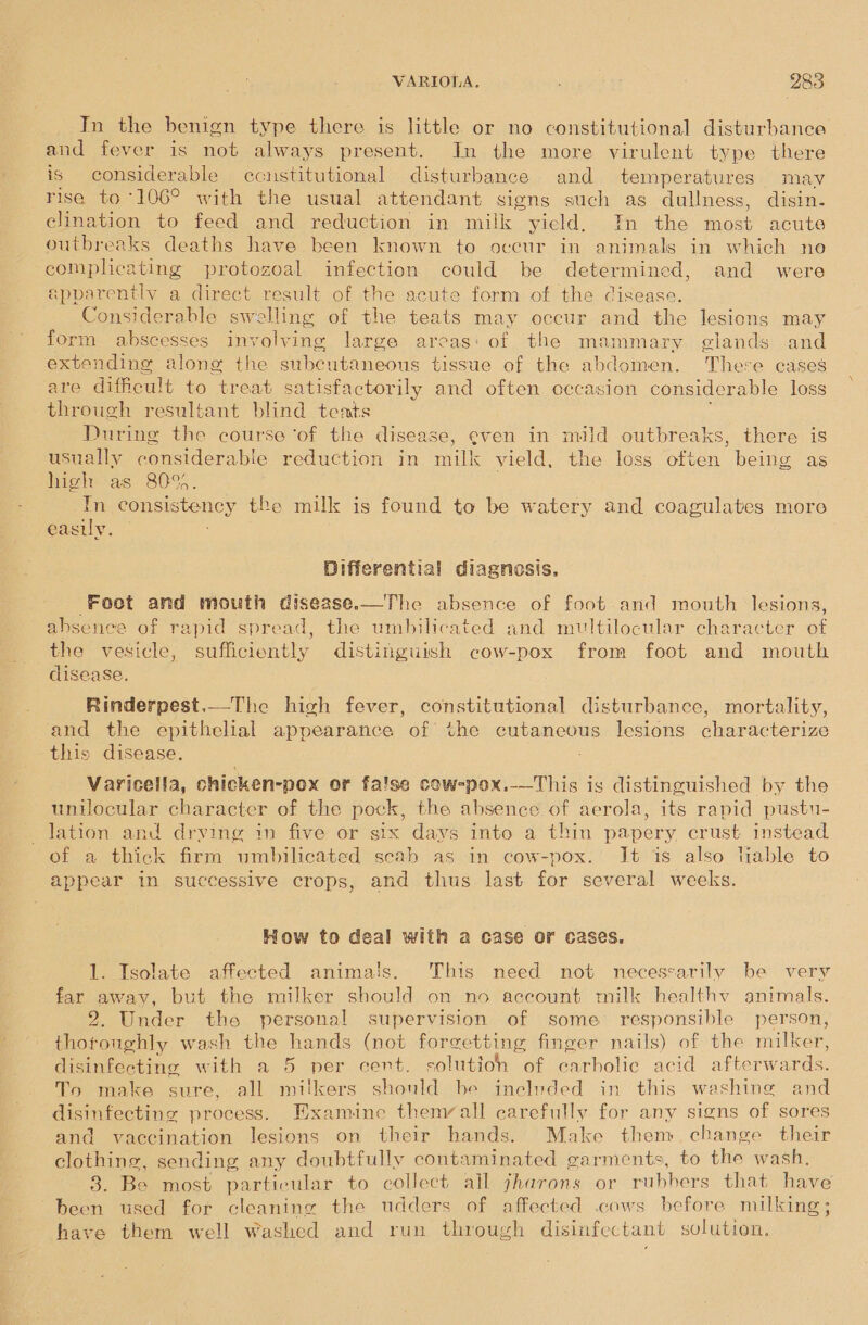 In the benign type there is little or no constitutional disturhance and fever is not always present. In the more virulent type there is considerable ccnstitutional disturbance and temperatures mav rise to “106° with the usual attendant signs such as dullness, disin. elination to feed and reduction in milk yield, In the most acute outbreaks deaths have been known to occur in animals in which no compheating protozoal infection could be determined, and were apparently a direct result of the acute form of the cisease. Considerable swelling of the teats may occur and the lesions may form abscesses involving large areas: of the mammary elands and extending along the subcutaneous tissue of the abdomen. There cases are difficult to treat satisfactorily and often occasion considerable loss through resultant blind teats ! During the course ‘of the disease, even in mild outbreaks, there is usually considerable reduction in milk vield, the loss often being as high as 809%. : Tn consistency the milk is found to be watery and coagulates more easily. Differential diagnosis. Foot and mouth disease.—The absence of foot and mouth lesions, absence of rapid spread, the umbilicated and multilocular charactcr of the vesicle, sufficiently distinguish cow-pox from foot and mouth is disease. Rinderpest._-The high fever, constitutional disturbance, mortality, and the epithelal appearance of the cutaneous lesions characterize this disease. Varicella, chicken-pox or false cow-pox.-—This is distinguished by the untlocular character of the pock, the absence of aerola, its rapid pustu- lation and drying in five or six days into a thin papery. crust instead of a thick firm umbilicated scab as in cow-pox. It is also table to appear in successive crops, and thus last for several weeks. How to deal with a case or cases. 1. Isolate affected animais. This need not necessarily be very far away, but the milker should on no account milk healthv animals. 2. Under the personal supervision of some’ responsible person, thotoughly wash the hands (not forgetting finger nails) of the milker, disinfecting with a 5 per cent. solution of carbolic acid afterwards. To make sure, all milkers should be inelyded in this washing and disinfecting process. Examine thenvall carefully for any signs of sores and vaccination lesions on their hands. Make them change their clothing, sending any doubtfully contaminated garments, to the wash, 3. Be most particular to collect ail jharons or rubbers that have been used for cleaning the udders of affected .cows before milking; have them well Washed and run through disinfectant solution.