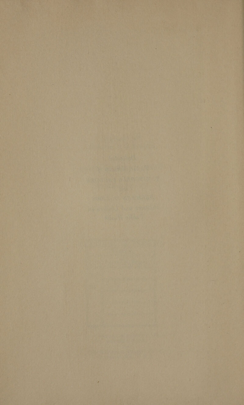 ae es ‘ Nis Pest oan Mie ENE ths BEL SIN et in DA vat