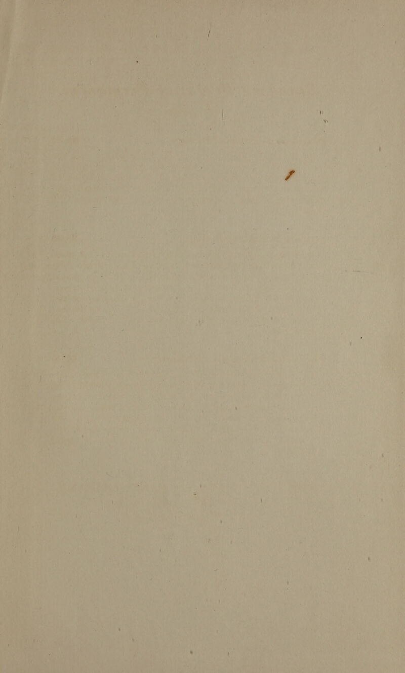 Pea ait Poh Pace a Jat