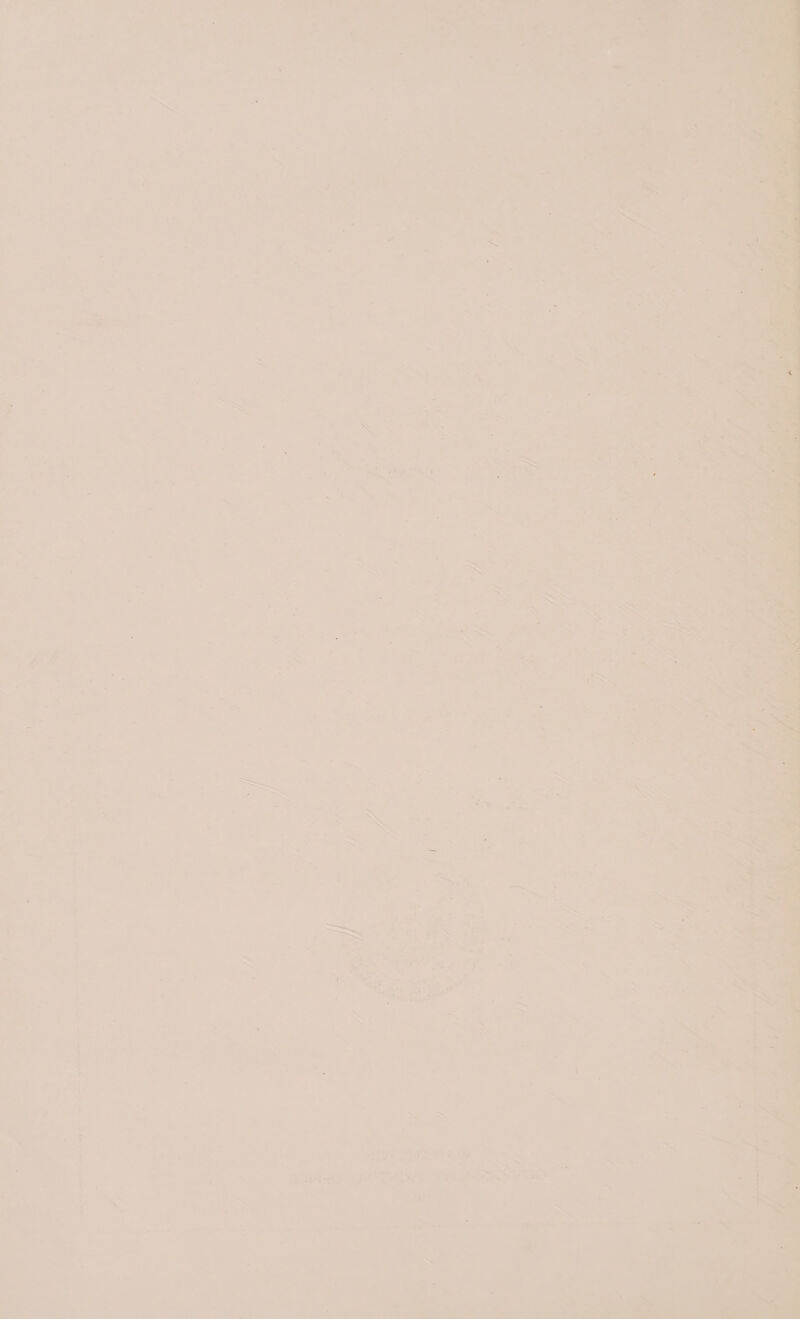   y Catan - / * - y : ; - 7 oP i - - 7 ; | > ts A . « : : ; if X Ba : f | © ‘ ~* oe . ra Z a ; bs J : oe / . . p? : : { - - . _ 4 Aa. é a | , 7, ; ‘ “ be , ; i i 7 i ' vf ; od : | | | rae ie a : i j : 7 ~ do Fe ' | os F: c iS ' ; ' ‘ y i : | | ‘. of | =~ - . ' . 7 . = - - ™ s : % 5 ‘ a /  _ , - 2 =a J By é + « 