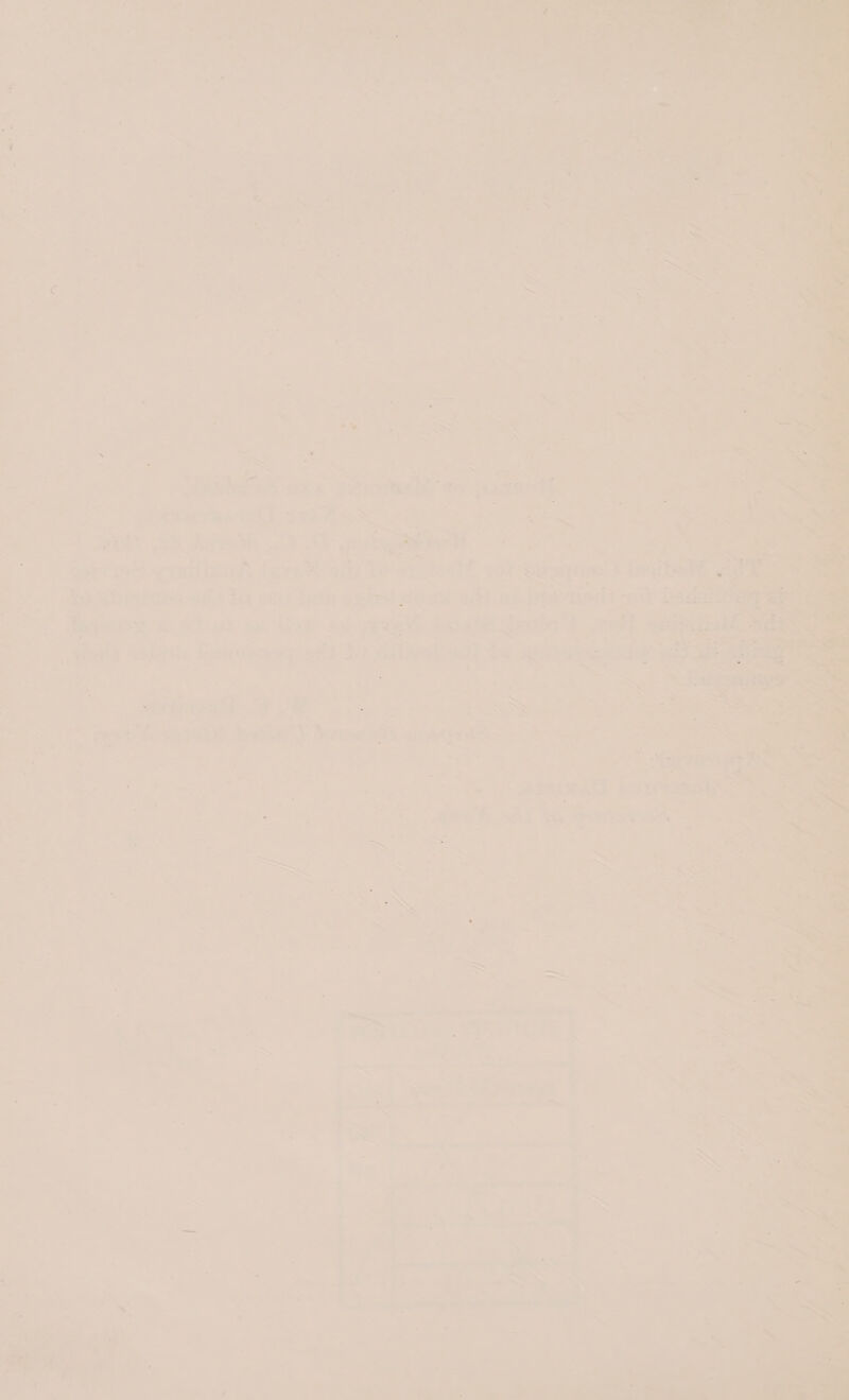   hoy er va : Oe ale oa > Bae Se é ” se j fo)” eee % = .  ¥ in : ye i y t ; ~ Si ote ‘. i“ y a. ie 23 i . ~ ; ' ) . r ° :  Cos a — 