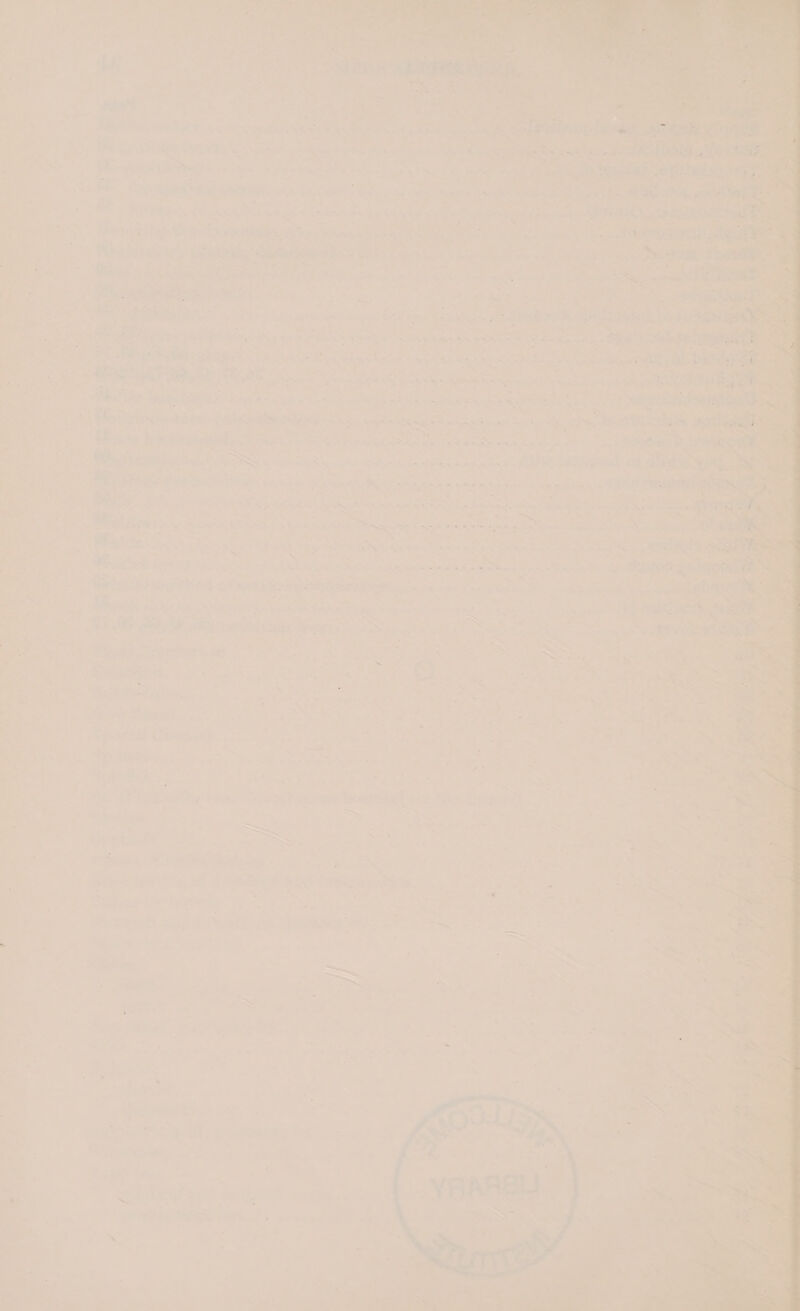  = * (ee Bs, ca &gt; ' % _      a Ad : aS as a _ Ta: MESSE Ac eee ee, unkawel Ma eee nt os es + Bh ieee avr $5 Male ig wh es3 yrs Ns =5is oa &gt; ¥ a s ‘if tec-.- =a eS AR ¥ PAGE + Seas ia eae ee = : m &gt; 4 a ana a ee tS Fe wks ry «¥ peut See 2 : Oakes ae - ; cil Sop shai inte “Ses . ght See Sp nee Sees ‘ Peheutientes Sa TS aj ins sont ES | ees am                         ace eae       +e. - = A : ry de : — 7 Qs - Pkiere g SH esi Sami oa  eats ate Se: 4% ead ee ee ie: Vee ee Ses  neon sou Sty a Pa a eh {-* a eS 4 or ES a 7 . Se ge Games K pia -, oy pods kh a fomts : J “ts a me = Peres x ae ee eee ates a “i a ret a aired —— ae Cs F. an z : ; a ie sm De EEN aa bia hoet ohick  iss kage ee Syme, Ban oo ae ee “peat SS 0 +s 7 Min iergeis 686-0. or pet Sey oA Ch ae Sea Scien cm laxiqint alae f ee es a : e wr Ase: neh isan pei Y ae ae .. + &amp; &amp; aie eee ee ee ene Angas Re Ie ee °4 0 ee or aa a * &gt; , = i ; 7 a 7 = 3 oho Ag 4 ae ye fA e ac) v * : ' ea. ‘, Raat : _ ~ ys Ri a! . os alah yi 7 SS ay Se Seabee ss a aaa 3 a2 Sth pineal i We: ere See ranae ink MULAN ALS Ss hk Sm Nise 4 bee ae cea ARN eg Se 8 eA ete ee: Noe : 4 A a or, “a Lat ¢ - Bains 4 inn tits ae, 7 oe eg SS in See Oe 4X&lt;%6 255% Sie Stes eth ha ae ee sesott mine ee RS Ses og : = OB iste RIS GS ‘ sy ss ee ee” : Wael g ket seats #4 SRE Maris ee nel sar ed ie ayn oe: FIDE 47 fee cee [i Ee ane he Hig ek Se ace = ESS — = i se pen ee: oi CS oe iso Wott ite. ho ee : 7 5 Ee ire y ; y os y . aie ey - ; ae = — eee es F ae Pe  Sathees ime. oes . Laer a fe 8 « ee ay ieee ‘ . £ a 9 Ger ae Oe Lr a 4 My ito v 4, ae * i - s 7 om ass * ~ . | +3  % ed, J} Ee ‘ -- a t “— aw, 2 by \ ey . — A &gt;) i ‘ _— &gt;. id. = 7 * 5 : He q ; i = : - &gt; 4 nw) 2 t ‘ 4 ie ess , ‘ es ‘we &gt;z a 7 &gt;) a ~ L tp . se ; P ‘-, ee &gt; 7 | - . 2 - s off fos” faa é 7 . : . oe be A x = : ; r ar ¥ at o&gt; ‘ 2 P 4 r . eS ys 7 athaghodiagy kb. * i = : nt ets se mt, , nea ; : ek ia a ; ee oy J ap lite sti mi nn ag) eee me A od ul 