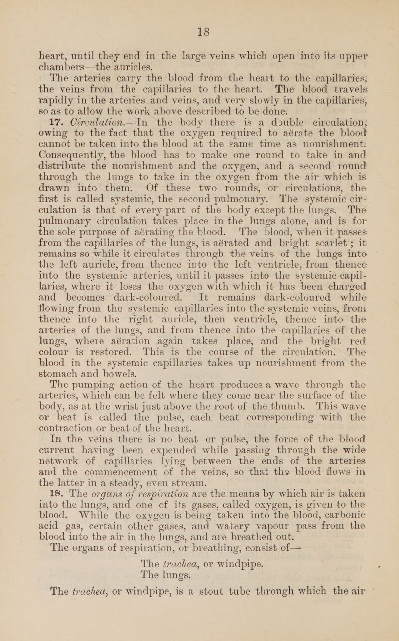 heart, until they end in the large veins which open into its upper chambers—the auricles. The arteries carry the blood from the heart to the capillaries; the veins from the capillaries to the heart. The blood travels rapidly in the arteries and veins, and very slowly in the capillaries, so as to allow the work above described to be done. 17. Circulation. In the body there is a double circulation; owing to the fact that the oxygen required to aérate the blood cannot be taken into the blood at the same time as nourishment: Consequently, the blood has to make one round to take in and distribute the nourishment and the oxygen, and a second round through the lungs to take in the oxygen from the air which is drawn into them. Of these two rounds, or circulations, the first is called systemic, the second pulmonary. The systemic cir- culation is that of every part of the body except the lungs. The pulmonary circulation takes place in the lungs alone, and is for the sole purpose of aérating the blood. The blood, when it passes from the capillaries of the lungs, is aérated and bright scarlet; it remains so while it circulates through the veins of the lungs into the left auricle, from thence into the left ventricle, from thence into the systemic arteries, until it passes into the systemic capil- laries, where it loses the oxygen with which it has been charged and becomes dark-coloured. It remains dark-coloured while flowing from the systemic capillaries into the systemic veins, from thence into the right auricle, then ventricle, thence into the arteries of the lungs, and from thence into the capillaries of the lungs, where aération again takes place, and the bright red colour is restored. This is the course of the circulation. The blood in the systemic capillaries takes up nourishment from the stomach and bowels. The pumping action of the heart produces a wave throngh the arteries, which can be felt where they come near the surface of the body, as at the wrist just above the root of the thumb. This wave or beat is called the pulse, each beat corresponding with the contraction or beat of the heart. In the veins there is no beat or pulse, the force of the blood current having been expended while passing through the wide network of capillaries lying between the ends of the arteries and the commencement of the veins, so that the blood flows in the latter in a steady, even stream. 18. The organs of respiration are the means by which air is bakes into the lungs, and one of its gases, called oxygen, is given to the blood. While the oxygen is being taken into the blood, car bonie acid gas, certain other gases, and watery vapour pass ‘from the blood into the air in the lungs, and are breathed out. The organs of respiration, or breathing, consist of— The trachea, or windpipe. The lungs. The trachea, or windpipe, is a stout tube through which the air