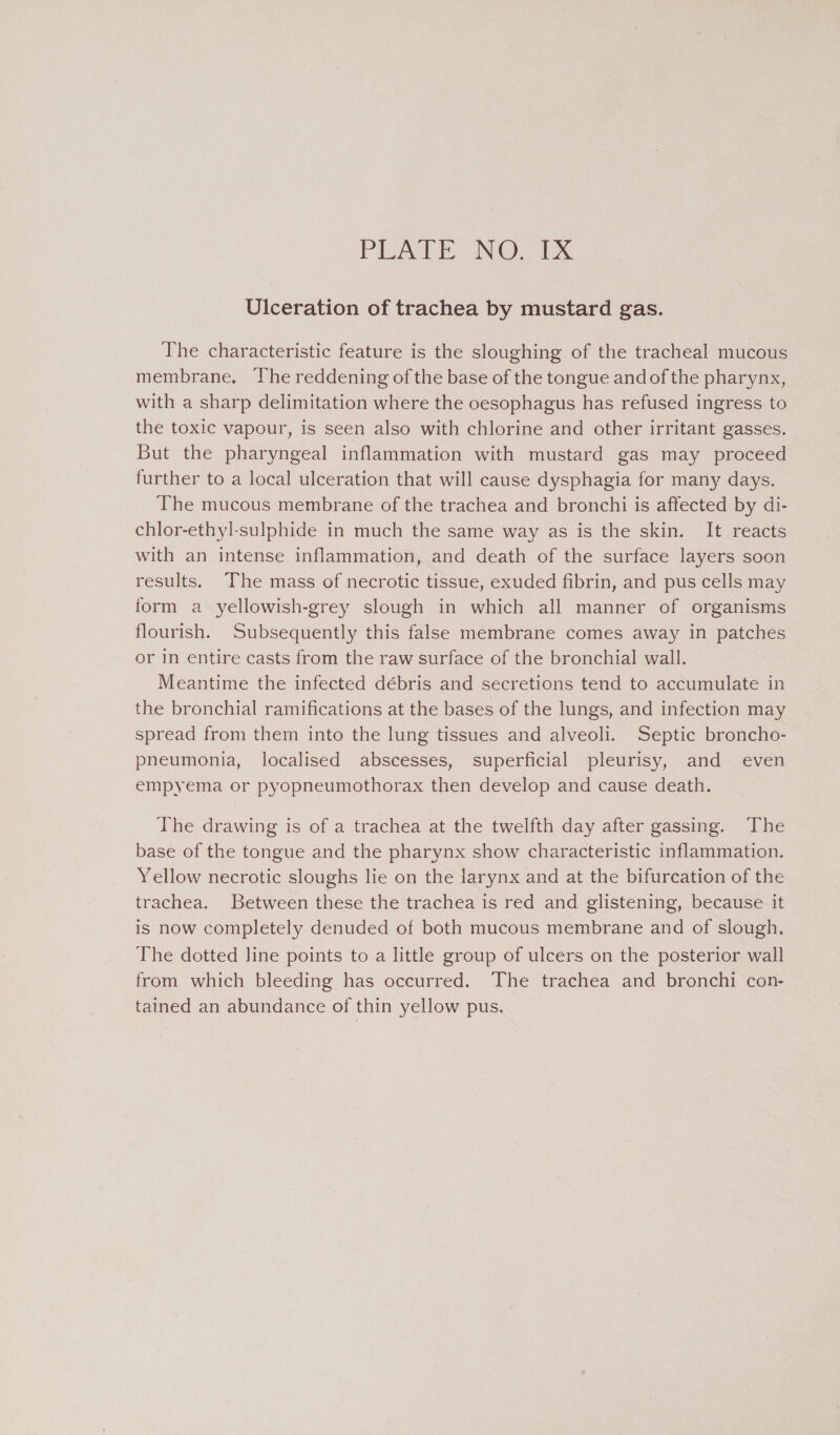 Ulceration of trachea by mustard gas. The characteristic feature is the sloughing of the tracheal mucous membrane. The reddening of the base of the tongue and of the pharynx, with a sharp delimitation where the oesophagus has refused ingress to the toxic vapour, is seen also with chlorine and other irritant gasses. But the pharyngeal inflammation with mustard gas may proceed further to a local ulceration that will cause dysphagia for many days. The mucous membrane of the trachea and bronchi is affected by di- chlor-ethyl-sulphide in much the same way as is the skin. It reacts with an intense inflammation, and death of the surface layers soon results. The mass of necrotic tissue, exuded fibrin, and pus cells may form a yellowish-grey slough in which all manner of organisms flourish. Subsequently this false membrane comes away in patches or in entire casts from the raw surface of the bronchial wall. Meantime the infected débris and secretions tend to accumulate in the bronchial ramifications at the bases of the lungs, and infection may spread from them into the lung tissues and alveoli. Septic broncho- pneumonia, localised abscesses, superficial pleurisy, and even empyema or pyopneumothorax then develop and cause death. The drawing is of a trachea at the twelfth day after gassing. The base of the tongue and the pharynx show characteristic inflammation. Yellow necrotic sloughs lie on the larynx and at the bifurcation of the trachea. Between these the trachea is red and glistening, because it is now completely denuded of both mucous membrane and of slough. The dotted line points to a little group of ulcers on the posterior wall from which bleeding has occurred. The trachea and bronchi con- tained an abundance of thin yellow pus.