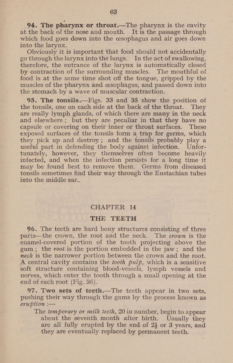 94. The pharynx or throat.—The pharynx is the cavity at the back of the nose and mouth. It is the passage through which food goes down into the cesophagus and air goes down into the larynx. Obviously it is faneree that food should not accidentally go through the larynx into the lungs.. In the act of swallowing, therefore, the entrance of the larynx is automatically closed by contraction of the surrounding muscles. The mouthful of food is at the same time shot off the tongue, gripped by the muscles of the pharynx and cesophagus, and passed down into the stomach by a wave of muscular contraction. 95. The tonsiis.—Figs. 33 and 35 show the position of the tonsils, one on each side at the back of the throat. They are really lymph glands, of which there are many in the neck and elsewhere; but they are peculiar in that they have no capsule or covering on their inner or throat surfaces. These exposed surfaces of the tonsils form a trap for germs, which they pick up and destroy ; and the tonsils probably play a useful part in defending the body against infection. Unfor- tunately, however, they themselves often become heavily- infected, and when the infection persists for a long time it may be found best to remove them. Germs from diseased tonsils sometimes find their way through the Eustachian tubes into the middle ear.. CHAPTER 14 THE TEETH 96. The teeth are hard bony structures consisting of three parits—the crown, the root and the neck. The crown is the enamel-covered portion of the tooth projecting above the gum; the voot is the portion embedded in the jaw; and the neck is the narrower portion between the crown and the root. A central cavity contains the tooth pulp, which is a sensitive soft structure containing blood-vessels, lymph vessels and nerves, which enter the tooth through a small opening at the end of each root (Fig. 36). 97. Two.sets of teeth.—The teeth appear in two sets, pushing their way through the gums by the process known as evuption :— The temporary or milk teeth, 20 in number, begin to appear ' about the seventh month after birth. Usually they are all fully erupted by the end of 2} or 3 years, aad they are eventually replaced by permanent teeth.