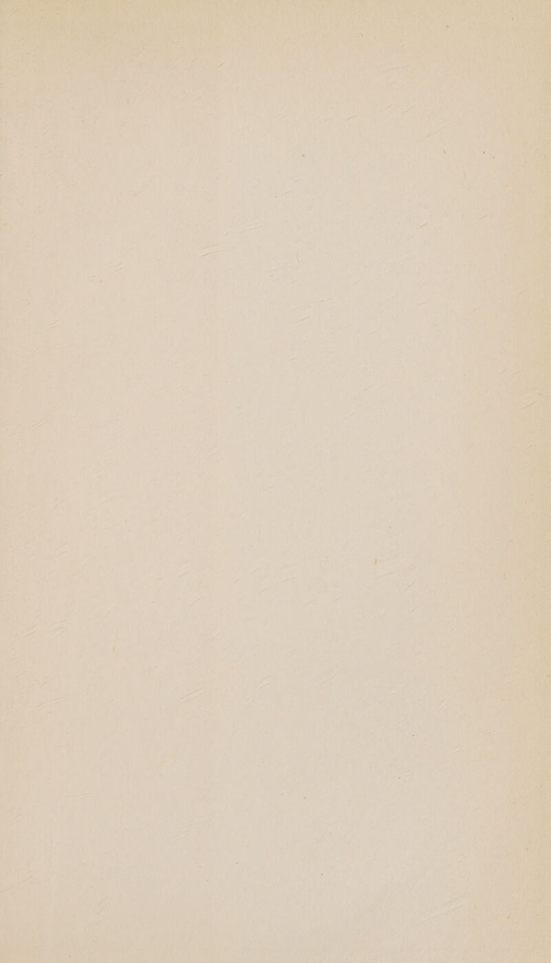 = » rs ~ iar. Spe : Uy 