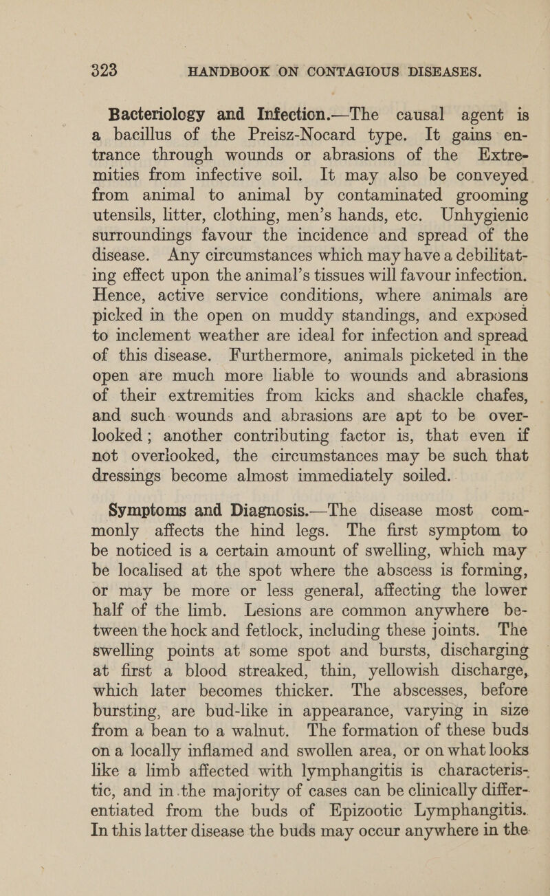 Bacteriology and Infection.—The causal agent is a bacillus of the Preisz-Nocard type. It gains en- trance through wounds or abrasions of the Extre- mities from infective soil. It may also be conveyed from animal to animal by contaminated grooming utensils, litter, clothing, men’s hands, etc. Unhygienic surroundings favour the incidence and spread of the disease. Any circumstances which may have a cebilitat- ing effect upon the animal’s tissues will favour infection. Hence, active service conditions, where animals are picked in the open on muddy standings, and exposed to inclement weather are ideal for infection and spread of this disease. Furthermore, animals picketed in the open are much more liable to wounds and abrasions of their extremities from kicks and shackle chafes, — and such: wounds and abrasions are apt to be over- looked ; another contributing factor is, that even if not overlooked, the circumstances may be such that dressings become almost immediately soiled. . Symptoms and Diagnosis.—The disease most com- monly affects the hind legs. The first symptom to be noticed is a certain amount of swelling, which may be localised at the spot where the abscess is forming, or may be more or less general, affecting the lower half of the limb. Lesions are common anywhere be- tween the hock and fetlock, including these jomts. The swelling points at some spot and bursts, discharging at first a blood streaked, thin, yellowish discharge, which later becomes thicker. The abscesses, before bursting, are bud-like in appearance, varying in size from a bean to a walnut. The formation of these buds on a locally inflamed and swollen area, or on what looks hike a limb affected with lymphangitis is characteris- tic, and in.the majority of cases can be clinically differ- entiated from the buds of Epizootic Lymphangitis. In this latter disease the buds may occur anywhere in the.