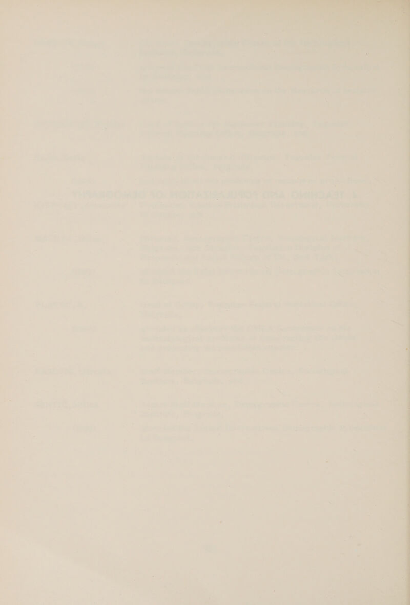                    e ADs Fee Set a4 — SE a: FA Dee. of _ cope © z ; rye, oes tang dt oe-awatin pape Daaaler aa | : | ae Gi ees Delage, ne ve err epee s yealvnhes wt madi § eas THAARDOMIG 10 MOITATHANIION GMA © ‘HOARY. | Pas ite | “tyiahgg net. Ph ake + alae Pevastaeat, 2 ; = , z e ¥ Te eae maiae: } mae. : . a | in frie Mélt 22 ate Rochas, ieeeeegyttie Deh, eis ey ee ; : . Beart ain -e Dereies, Pau o Bivins ao t : ; Feats aut Gigs Anes a ces TORK, aa ae T ps a ey ee eee te er ? Z a ; : ; ro. ; i yy . — 7 <i = 7 . Hi : 4 og ee ‘wp, Puerwisee Feverg) Soot latices) See es “a a i cf -  epehseels pies gS. uf : ceteamcit ce esa sp J prowess isa peaier   es Bag 12° Ri deone @ 2% lig@e don . tal? Siew bes Fie ee ee | ia i. os cocina 7 = : oo =e = . a : ie oa xf - VATS < oe oS = ; 7) he : = P ’ aes of ts : 4 : ; = = ee : 7” ' 7 ‘ ee 7 . SET ue, wien . tijer Teall Menuey, Bemogespide Carey isi 4 Hors gee? 255 ® Se - ne, of = P 7 aN : a *¢ fet a : - 43 Cc P ae CEL at nee r cy L Chas : im ioe San a Cm 7 ‘ - eo © y oz as ; a of =