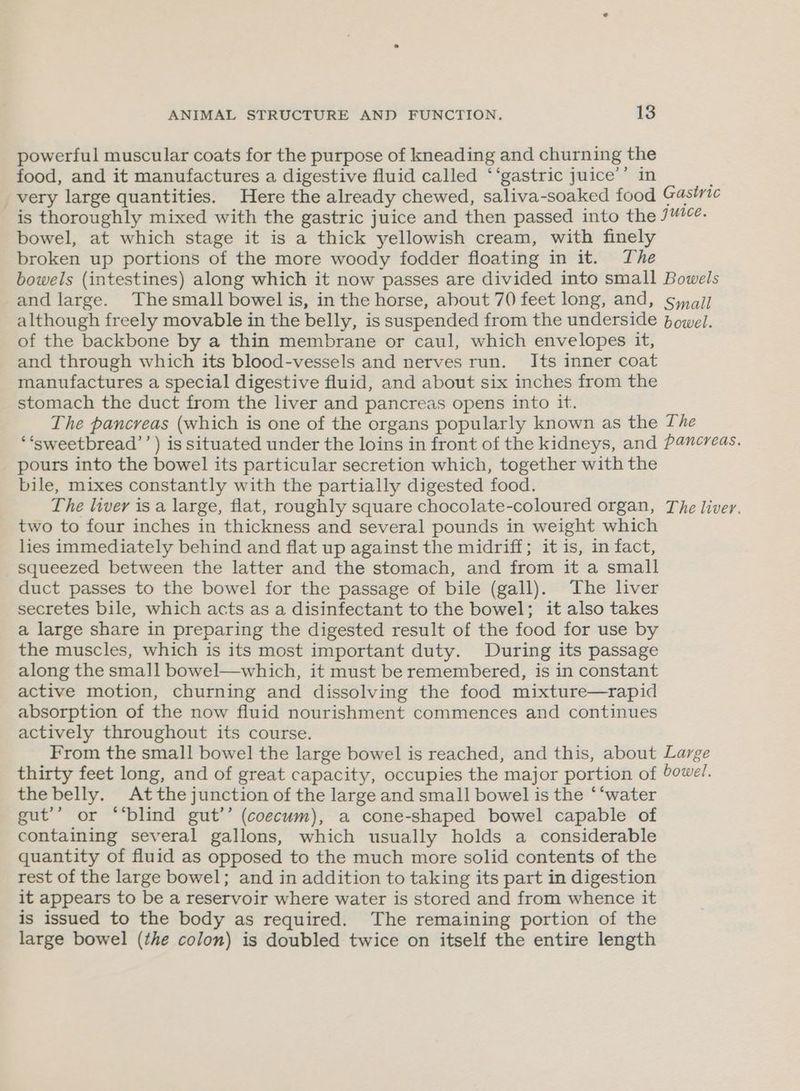 powerful muscular coats for the purpose of kneading and churning the food, and it manufactures a digestive fluid called ‘‘gastric juice’’ in ; very large quantities. Here the already chewed, saliva-soaked food Gastric is thoroughly mixed with the gastric juice and then passed into the J“. bowel, at which stage it is a thick yellowish cream, with finely broken up portions of the more woody fodder floating in it. The bowels (intestines) along which it now passes are divided into small Bowels and large. Thesmall bowel is, in the horse, about 70 feet long, and, syaij although freely movable in the belly, is suspended from the underside Bowel. of the backbone by a thin membrane or caul, which envelopes it, and through which its blood-vessels and nerves run. Its inner coat manufactures a special digestive fluid, and about six inches from the stomach the duct from the liver and pancreas opens into it. The pancreas (which is one of the organs popularly known as the The ‘*sweetbread’’) is situated under the loins in front of the kidneys, and Pancreas. pours into the bowel its particular secretion which, together with the bile, mixes constantly with the partially digested food. The liver is a large, flat, roughly square chocolate-coloured organ, The liver. two to four inches in thickness and several pounds in weight which lies immediately behind and flat up against the midriff; it is, in fact, squeezed between the latter and the stomach, and from it a small duct passes to the bowel for the passage of bile (gall). The liver secretes bile, which acts as a disinfectant to the bowel; it also takes a large share in preparing the digested result of the food for use by the muscles, which is its most important duty. During its passage along the small bowel—which, it must be remembered, is in constant active motion, churning and dissolving the food mixture—rapid absorption of the now fluid nourishment commences and continues actively throughout its course. From the small bowel the large bowel is reached, and this, about Large thirty feet long, and of great capacity, occupies the major portion of bowe/. the belly. At the junction of the large and small bowel is the ‘‘water gut’’ or “‘blind gut’’ (coecum), a cone-shaped bowel capable of containing several gallons, which usually holds a considerable quantity of fluid as opposed to the much more solid contents of the rest of the large bowel; and in addition to taking its part in digestion it appears to be a reservoir where water is stored and from whence it is issued to the body as required. The remaining portion of the large bowel (the colon) is doubled twice on itself the entire length