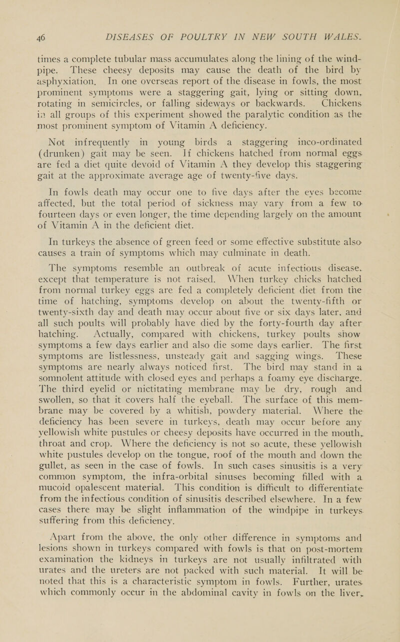 times a complete tubular mass accumulates along the lining of the wind- pipe. These cheesy deposits may cause the death of the bird by asphyxiation, In one overseas report of the disease in fowls, the most prominent symptoms were a staggering gait, lying or sitting down, rotating in semicircles, or falling sideways or backwards. Chickens. in all groups of this experiment showed the paralytic condition as the most prominent symptom of Vitamin A deficiency. Not infrequently in young birds a_ staggering inco-ordinated (drunken) gait may be seen. If chickens hatched from normal eggs are fed a diet quite devoid of Vitamin A they develop this staggering gait at the approximate average age of twenty-five days. In fowls death may occur one to five days after the eves become affected, but the total period of sickness may vary from a few to fourteen days or even longer, the time depending largely on the amount of Vitamin A in the deficient diet. In turkeys the absence of green feed or some effective substitute also. causes a train of symptoms which may culminate in death. The symptoms resemble an outbreak of acute infectious disease. except that temperature is not raised. When turkey chicks hatched from normal turkey eggs are fed a completely deficient diet from the time of hatching, symptoms develop on about the twenty-fifth or twenty-sixth day and death may occur about five or six days later. and all such poults will probably have died by the forty-fourth day after hatching. Actually, compared with chickens, turkey poults show symptoms a few days earlier and also die some days earlier. The first symptoms are listlessness, unsteady gait and sagging wings. These symptoms are nearly always noticed first. The bird may stand in a somnolent attitude with closed eyes and perhaps a foamy eye discharge. The third eyelid or nictitating membrane may be dry, rough and swollen, so that it covers half the eyeball. The surface of this mem- brane may be covered by a whitish, powdery material. Where the deficiency has been severe in turkeys, death may occur before any yellowish white pustules or cheesy deposits have occurred in the mouth, throat and crop. Where the deficiency is not so acute, these yellowish white pustules develop on the tongue, roof of the mouth and down the gullet, as seen in the case of fowls. In such cases sinusitis is a very common symptom, the infra-orbital sinuses becoming filled with a mucoid opalescent material. This condition is difficult to differentiate from the infectious condition of sinusitis described elsewhere. In a few cases there may be slight inflammation of the windpipe in turkeys suffering from this deficiency. Apart from the above, the only other difference in symptoms and lesions shown in turkeys compared with fowls is that on post-mortem: examination the kidneys in turkeys are not usually infiltrated with urates and the ureters are not packed with such material. It will be noted that this is a characteristic symptom in fowls. Further, urates. which commonly occur in the abdominal cavity in fowls on the liver,
