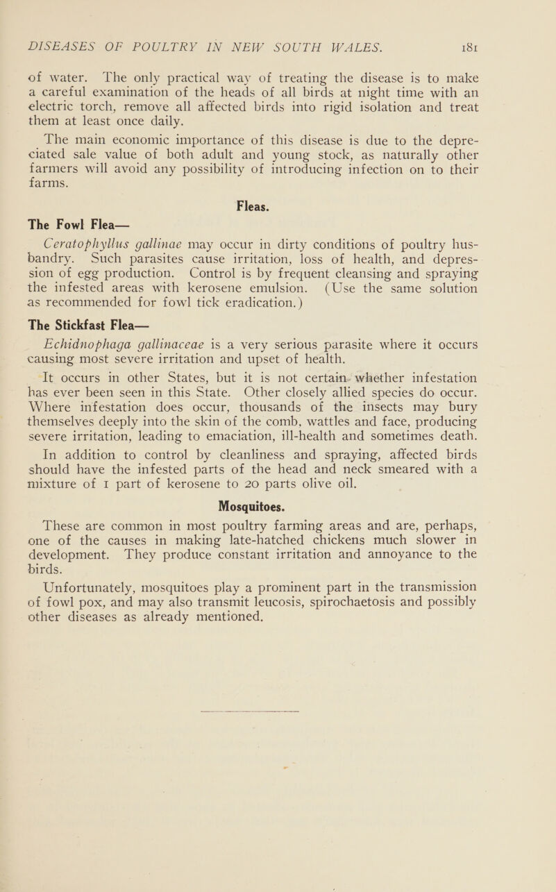 of water. The only practical way of treating the disease is to make a careful examination of the heads of all birds at night time with an electric torch, remove all affected birds into rigid isolation and treat them at least once daily. _The main economic importance of this disease is due to the depre- ciated sale value of both adult and young stock, as naturally other farmers will avoid any possibility of introducing infection on to their farms. Fleas. The Fowl Flea— Ceratophyllus gallinae may occur in dirty conditions of poultry hus- bandry. Such parasites cause irritation, loss of health, and depres- sion of egg production. Control is by frequent cleansing and spraying the infested areas with kerosene emulsion. (Use the same solution as recommended for fowl tick eradication. ) The Stickfast Flea— Echidnophaga gallinaceae is a very serious parasite where it occurs causing most severe irritation and upset of health. ‘It occurs in other States, but it is not certain. whether infestation has ever been seen in this State. Other closely allied species do occur. Where infestation does occur, thousands of the insects may bury themselves deeply into the skin of the comb, wattles and face, producing severe irritation, leading to emaciation, ill-health and sometimes death. In addition to control by cleanliness and spraying, affected birds should have the infested parts of the head and neck smeared with a mixture of I part of kerosene to 20 parts olive oil. Mosquitoes. These are common in most poultry farming areas and are, perhaps, one of the causes in making late-hatched chickens much slower in development. They produce constant irritation and annoyance to the birds. Unfortunately, mosquitoes play a prominent part in the transmission of fowl pox, and may also transmit leucosis, spirochaetosis and possibly other diseases as already mentioned. 