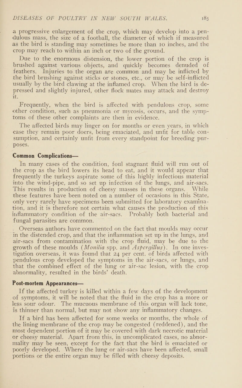 a progressive enlargement of the crop, which may develop into a pen- dulous mass, the size of a football, the diameter of which if measured as the bird is standing may sometimes be more than 10 inches, and the crop may reach to within an inch or two of the ground. Due to the enormous distension, the lower portion of the crop is brushed against various objects, and quickly becomes denuded of feathers. Injuries to the organ are common and may be inflicted by the bird brushing against sticks or stones, etc., or may be self-inflicted usually by the bird clawing at the inflamed crop. When the bird is de- pressed and slightly injured, other flock mates may attack and destroy dt. Frequently, when the bird is affected with pendulous crop, some other condition, such as pneumonia or mycosis, occurs, and the symp- toms of these other complaints are then in evidence. The affected birds may linger on for months or even years, in which case they remain poor doers, being emaciated, and unfit for table con- sumption, and certainly unfit from every standpoint for breeding pur- poses. Common Complications— In many cases of the condition, foul stagnant fluid will run out of the crop as the bird lowers its head to eat, and it would appear that frequently the turkeys aspirate some of this highly infectious material into the wind-pipe, and so set up infection of the lungs, and air-sacs. This results in production of cheesy masses in these organs. While these features have been noted on a number of occasions in this State, only very rarely have specimens been submitted for laboratory examina- tion, and it is therefore not certain what causes the production of this inflammatory condition of the air-sacs. Probably both bacterial and fungal parasites are common. _ Overseas authors have commented on the fact that moulds may occur in the distended crop, and that the inflammation set up in the lungs, and air-sacs from contamination with the crop fluid, may be due to the growth of these moulds (Monilia spp. and Aspergillus). In one inves- tigation overseas, it was found that 24 per cent. of birds affected with pendulous crop developed the symptoms in the air-sacs, or lungs, and that the combined effect of the lung or air-sac lesion, with the crop abnormality, resulted in the birds’ death. Post-mortem Appearances— If the affected turkey is killed within a few days of the development of symptoms, it will be noted that the fluid in the crop has a more or less sour odour. The mucuous membrane of this organ will lack tone, is thinner than normal, but may not show any inflammatory changes. If a bird has been affected for some weeks or months, the whole of the lining membrane of the crop may be congested (reddened), and the most dependent portion of it may be covered with dark necrotic material or cheesy material. Apart from this, in uncomplicated cases, no abnor- mality may be seen, except for the fact that the bird is emaciated or poorly developed. Where the lung or air-sacs have been affected, small portions or the entire organ may be filled with cheesy deposits.