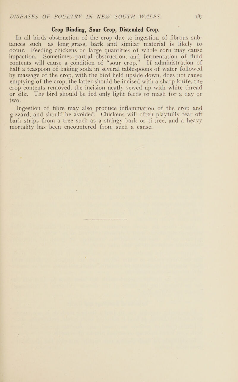 Crop Binding, Sour Crop, Distended Crop. In all birds obstruction of the crop due to ingestion of fibrous sub- tances such as long grass, bark and similar material is likely to occur. Feeding chickens on large quantities of whole corn may cause impaction. Sometimes partial obstruction, and fermentation of fluid contents will cause a condition of “sour crop.” If administration of half a teaspoon of baking soda in several tablespoons of water followed by massage of the crop, with the bird held upside down, does not cause emptying of the crop, the latter should be incised with a sharp knife, the crop contents removed, the incision neatly sewed up with white thread or silk. The bird should be fed only lght feeds of mash for a day or two. Ingestion of fibre may also produce inflammation of the crop and gizzard, and should be avoided. Chickens will often playfully tear off bark strips from a tree such as a stringy bark or ti-tree, and a heavy mortality has been encountered from such a cause.