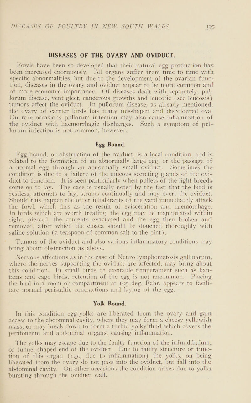 DISEASES OF THE OVARY AND OVIDUCT. Fowls have been so developed that their natural egg production has been increased enormously. All organs suffer from time to time with specific abnormalities, but due to the development of the ovarian func- tion, diseases in the ovary and oviduct appear to be more common and of more economic importance. Of diseases dealt with separately, pu!- lorum disease, vent gleet, cancerous growths and leucotic (see leucosis ) tumors affect the oviduct. In pullorum disease, as already mentioned, the ovary of carrier birds has_ many misshapen and discoloured ova. On rare occasions pullorum infection may also cause inflammation of the oviduct with haemorrhagic discharges. Such a symptom of pul- lorum infection is not common, however. Egg Bound. Egg-bound, or obstruction of the oviduct, is a local condition, and is related to the formation of an abnormally large egg, or the passage of a normal egg through an abnormally small “oviduct. Sometimes the condition 1s due to a failure of the mucous secreting glands of the ovi- duct to function. It is seen particularly when pullets of the light breeds. come on to lay. The case is usually noted by the fact that the bird is restless, attempts to lay, strains continually and may evert the oviduct. Should this happen the other inhabitants of the yard immediately attacl< the fowl, which dies as the result of evisceration and haemorrhage. In birds which are worth treating, the egg may be manipulated within sight, pierced, the contents evacuated and the egg then broken and removed, after which the cloaca should be douched thoroughly with saline solution (a teaspoon of common salt to the pint). Tumors of the oviduct and also various inflammatory conditions may bring about obstruction as above. Nervous affections as in the case of Neuro lymphomatosis gallinarum, where the nerves supporting the oviduct are affected, may bring about this condition. In small birds of excitable temperament such as ban- tams and cage birds, retention of the egg is not uncommon. Placing the bird in a room or compartment at 105 deg. Fahr. appears to facili- tate normal peristaltic contractions and laying of the egg Yolk Bound. In this condition egg-yolks are hberated from the ovary and gain access to the abdominal cavity, where they may form a cheesy yellowish mass, or may break down to form a turbid yolky’ fluid which covers the peritoneum and abdominal organs, causing inflammation. The yolks may escape due to the faulty function of the infundibulum, or funnel-shaped end of the oviduct. Due to faulty structure or func- tion of this organ (e.g., due to inflammation) the yolks, on being liberated from the ovary do not pass into the oviduct, but fall into the abdominal cavity. On other occasions the condition arises due to yolks bursting through the oviduct wall.