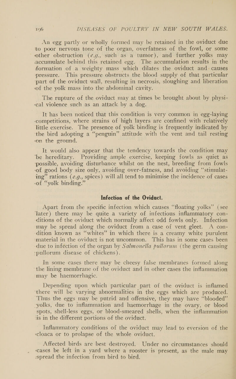 An egg partly or wholly formed may be retained in the oviduct due to poor nervous tone of the organ, overfatness of the fowl, or some other obstruction (eé.g., such as a tumor), and further yolks may accumulate behind this retained egg. The accumulation results in the formation of a weighty mass which dilates the oviduct and. causes pressure. This pressure obstructs the blood supply of that particular ‘part of the oviduct wall, resulting in necrosis, sloughing and liberation «of the yolk mass into the abdominal cavity. The rupture of the oviduct may at times be brought about by physi- ‘cal violence such as an attack by a dog. It has been noticed that this condition is very common in egg-laying competitions, where strains of high layers are confined with relatively little exercise. The presence of yolk binding is frequently indicated by ‘the bird adopting a “penguin” attitude with the vent and tail resting ‘on the ground. It would also appear that the tendency towards the condition may ‘be hereditary. Providing ample exercise, keeping fowls as quiet as ‘possible, avoiding disturbance whilst on the nest, breeding from fowls -of good body size only, avoiding over-fatness, and avoiding “‘stimulat- ing” rations (e.g., spices) will all tend to minimise the incidence of cases eof “yolk binding.” Infection of the Oviduct. Apart from the specific infection which causes “floating yolks” (see later) there may be quite a variety of infectious inflammatory con- ‘ditions of the oviduct which normally affect odd fowls only. Infection ‘may be spread along the oviduct from a case of vent gleet. A con- ‘dition known as “whites” in which there is a creamy white purulent © ‘material in the oviduct is not uncommon. This has in some cases been due to infection of the organ by Salmonella pullorum (the germ causing ‘pullorum disease of chickens). . In some cases there may be cheesy false membranes formed along “the lining membrane of the oviduct and in other cases the inflammation ‘may be haemorrhagic. Depending upon which particular part of the oviduct is inflamed ‘there will be varying abnormalities in the eggs which are produced. Thus the eggs may be putrid and offensive, they may have “blooded” -yolks, due to inflammation and haemorrhage in the ovary, or blood spots, shell-less eggs, or blood-smeared shells, when the inflammation ‘is in the different portions of the oviduct. Inflammatory conditions of the oviduct may lead to eversion of the ‘cloaca or to prolapse of the whole oviduct. Affected birds are best destroyed. Under no circumstances should ‘cases be left in a yard where a rooster is present, as the male may -spread the infection from bird to bird.