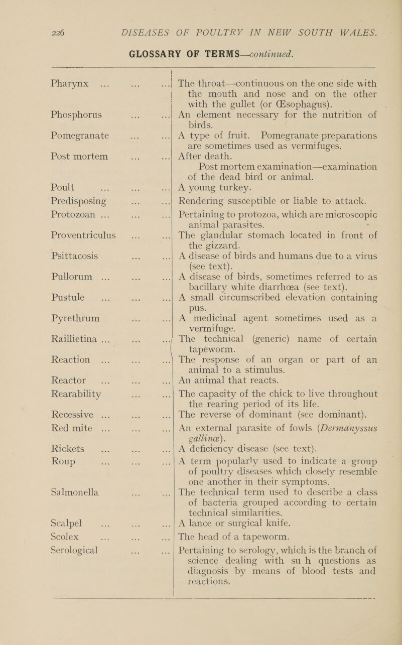 Pharynx Phosphorus Pomegranate Post mortem Poult Predisposing Protozoa = Proventriculus Psittacosis Pullorum Pustule Pyrethrum Raillietina .. Reaction Reactor Rearability Recessive Red mite Rickets Roup Salmonella Scalpel Scolex Serological    the mouth and nose and on the other with the gullet (or Esophagus). An element necessary 1Or the nutrition of birds. A type of fruit. Pomegranate preparations are sometimes used as vermifuges. Atter death. | Post mortem examination—examination of the dead bird or animal. A young turkey. Rendering susceptible or liable to attack. Pertaining to protozoa, which are microscopic animal parasites. The glandular stomach located in front of the gizzard. A disease of birds and humans due to a virus (see text): A disease of birds, sometimes referred to as bacillary white diarrhoea (see text). A small circumscribed elevation containing pus. A medicinal agent sometimes used as a vermifuge. The technical (generic) name-of certam tapeworm. The response of an organ or part of an animal to a stimulus. An animal that reacts. The capacity of the chick to live throughout the rearing period of its life. The reverse of dominant (see dominant). An external parasite of fowls (Dermanyssus galline). A deficiency disease (see text). A term popularly used to indicate a group of poultry diseases which closely resemble one another in their symptoms. The technical term used to describe a class of bacteria grouped according to certain technical similarities. A lance or surgical knife. Pertaining to serology, which is the branch of sclence dealing with su h questions as diagnosis by means of blood tests and reactions. 
