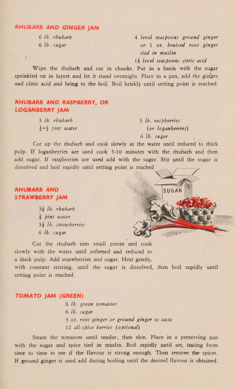 RHUBARB AND GINGER JAM 6 lb. rhubarb 4 level teaspoons ground ginger 6 1b. sugar or 1 oz. bruised root ginger tied in muslin 14 level teaspoons citric acid Wipe the rhubarb and cut in chunks. Put in a basin with the sugar sprinkled on in layers and let it stand overnight. Place in a pan, add the ginger and citric acid and bring to the boil. Boil briskly until setting point is reached. RHUBARB AND RASPBERRY, OR LOGANBERRY JAM 3 1b. rhubarb 3 1b. raspberries 4d=4 pint water (or loganberries) 6 1b. sugar Cut up the rhubarb and cook slowly in the water until reduced to thick pulp. If loganberries are used cook 5-10 minutes with the rhubarb and then add sugar. If raspberries are used add with the sugar. Stir until the sugar is dissolved and boil rapidly until setting point is reached _ ioe  RHUBARB AND STRAWBERRY JAM 34 1b. rhubarb 3 pint water 34 1b. strawberries   Cut the rhubarb into small pieces ‘and cook slowly with the water until softened and reduced to a thick pulp. Add strawberries and sugar. Heat gently, with constant stirring, until the sugar is. dissolved, then boil rapidly until setting point is reached. 6 1b. sugar TOMATO JAM (GREEN) 6 lb. green tomatoes 6 1b. sugar 3 oz. root ginger or ground ginger to taste 12 all-spice berries (optional) Steam the tomatoes until tender; then skin. Place in a preserving pan with the sugar and spice tied in muslin. Boil rapidly until set, testing from time to time to see if the flavour is strong enough. Then remove the spices. If ground ginger is used add during boiling until the desired flavour is obtained.