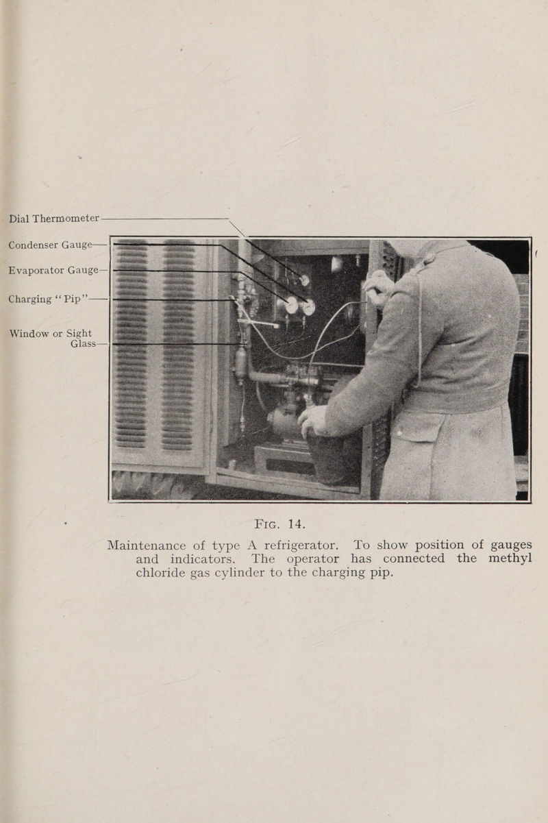  Dial Thermometer Condenser Gauge— Evaporator Gauge—  Charging ‘‘ Pip’’—— Window or Sight Glass— : Pure. £4, Maintenance of type A refrigerator. To show position of gauges and indicators. The operator has connected the methyl chloride gas cylinder to the charging pip.