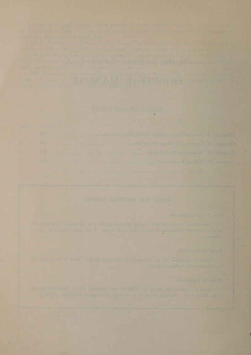 ae k«  i —_ ‘ : eS ‘ ne iene See gare See fe be oo a aegis? me , ‘ - Ps a s Fi ¥) T We a ~» ¢ - ay, ae f ; 2 ae ee BPS a<¢ Pm, Pet Te We! Sea? 2 | ¥ Lv a « i Pay) ie 4 > f ‘ Py i f ‘'. 4a + ; = 4 \ ( o a ‘ae a wf 4a oe \ ary z r : eh . a, ‘ F ¥ i > ae r - } o~2 = ¥ : y - { P* i, i £ 2.4% he. \ 1 *% . ¥ i \ , - bs 1S Lh A, CE an 4 ' ” eviar i Ti 514 2 -    Sse Ys, ‘ id waetolg salves viob Seer : es, ae iinirale sys hpeapieee Gian aitia ben +f) es i iii rit Meee three * ye ue j batt ales ' : ie clei ovina mii oJ! Hoe ero tne toORInAe il S1My pees as jae 0) 4: Gk 1G (ets Ss Rip nor acide  . ‘ .* ae . ee —_ * } ¥ é fy - t@ > A% 7 ¢ j Ty if ‘ ~ eee be Ss >. = i ; > ae te » . -_ a