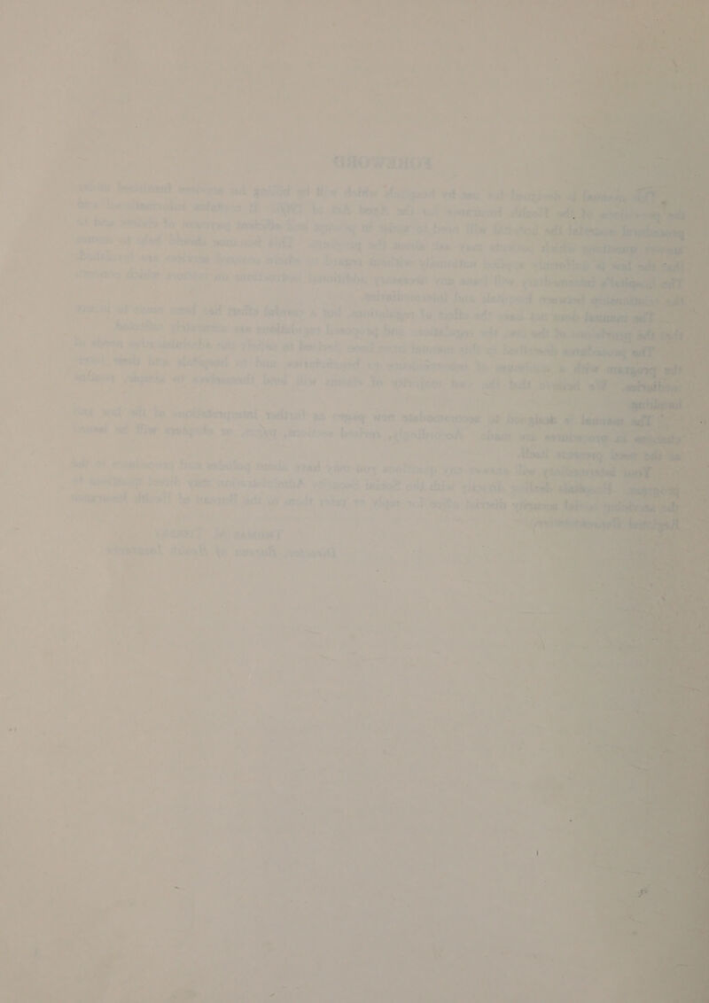 i  a ’ - ec Sek ee » = y oe - 5 or he i - oa? <a   es | CHO WULHGSE : ot delllid ah Hiw dadde’ Sis dike : eet ett fi iw anc eot vd sey pob) Eeeiieeie | Poy ‘ i 5 + Awe? y A a - . ‘al oe S hoeh sl) 10) serio of ae VIO | Sats ~ OF Saieas t Rewer iw igtias : ; stud ‘ > : ie ty 5 “{ oll Tn Jen veo) atti: 4 : Bue? isi st Tew Fiala ina b 98 Sey >) 7 hai DHk VIAaeser von Sip esiiativedroat fin i : ~ ar torts lelee : ” a ae ; , ‘ 4 pers T* wit 4 [p51 sk a3 AG % ky af » > i ; t j ie Prosi j MD TOUR Sy r at be ey 7 bay bles thy ap? ‘=~ s ‘ F 1 oN Lit wot 4 I. 3; s r-ant | var 4 @ P - é + ¢ ae | . d fi , © Slee es | LS) a <= “ot “ ; ; : } F ee o a Tr! my wh t<ie4 i oc <> ? nec og% i . wont ‘tenths La aq wer sisbomnieoe dp ben C* pags 2¥ $ Poigy uP « Site Sa et A {  ; 1 GMO 6DERE Mae “ hale 7 ~ Unedl a kd ss , ¥ ’ Ls ' 1G oo tyy wtierl 4 I'v TRE eS ‘ fs er te hai ety nt ivy 4.2550 Viggen ig ; , , s ’ r 9 r , fe ou} 74 item -¥ { . : . “ee eH ; Bo ; ad - : if ¥ cy _ # os a - . 7 é ote - Py ne i / . 