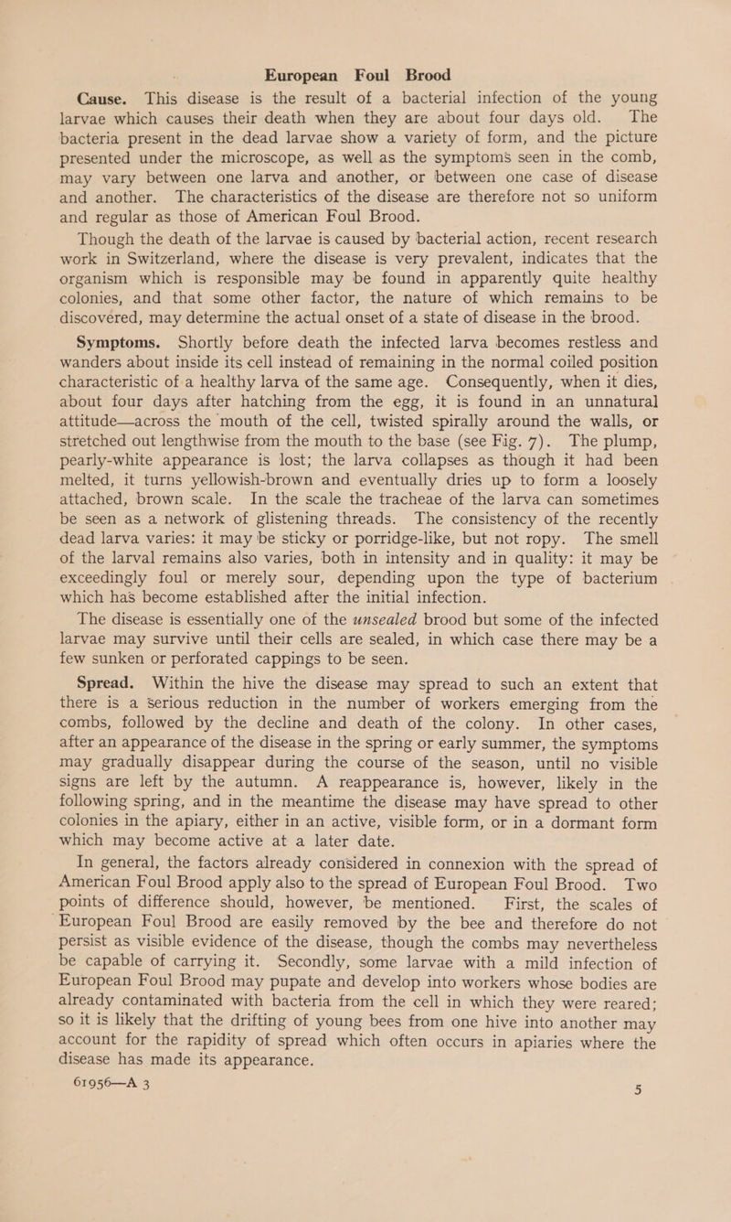 Cause. This disease is the result of a bacterial infection of the young larvae which causes their death when they are about four days old. The bacteria present in the dead larvae show a variety of form, and the picture presented under the microscope, as well as the symptoms seen in the comb, may vary between one larva and another, or between one case of disease and another. The characteristics of the disease are therefore not so uniform and regular as those of American Foul Brood. Though the death of the larvae is caused by bacterial action, recent research work in Switzerland, where the disease is very prevalent, indicates that the organism which is responsible may be found in apparently quite healthy colonies, and that some other factor, the nature of which remains to be discovered, may determine the actual onset of a state of disease in the brood. Symptoms. Shortly before death the infected larva becomes restless and wanders about inside its cell instead of remaining in the normal coiled position characteristic of a healthy larva of the same age. Consequently, when it dies, about four days after hatching from the egg, it is found in an unnatural attitude—across the mouth of the cell, twisted spirally around the walls, or stretched out lengthwise from the mouth to the base (see Fig. 7). The plump, pearly-white appearance is lost; the larva collapses as though it had been melted, it turns yellowish-brown and eventually dries up to form a loosely attached, brown scale. In the scale the tracheae of the larva can sometimes be seen as a network of glistening threads. The consistency of the recently dead larva varies: it may be sticky or porridge-like, but not ropy. The smell of the larval remains also varies, both in intensity and in quality: it may be exceedingly foul or merely sour, depending upon the type of bacterium which has become established after the initial infection. The disease is essentially one of the unsealed brood but some of the infected larvae may survive until their cells are sealed, in which case there may be a few sunken or perforated cappings to be seen. Spread. Within the hive the disease may spread to such an extent that there is a Serious reduction in the number of workers emerging from the combs, followed by the decline and death of the colony. In other cases, after an appearance of the disease in the spring or early summer, the symptoms may gradually disappear during the course of the season, until no visible signs are left by the autumn. A reappearance is, however, likely in the following spring, and in the meantime the disease may have spread to other colonies in the apiary, either in an active, visible form, or in a dormant form which may become active at a later date. In general, the factors already considered in connexion with the spread of American Foul Brood apply also to the spread of European Foul Brood. Two points of difference should, however, be mentioned. First, the scales of ‘European Foul Brood are easily removed by the bee and therefore do not persist as visible evidence of the disease, though the combs may nevertheless be capable of carrying it. Secondly, some larvae with a mild infection of European Foul Brood may pupate and develop into workers whose bodies are already contaminated with bacteria from the cell in which they were reared; so it is likely that the drifting of young bees from one hive into another may account for the rapidity of spread which often occurs in apiaries where the disease has made its appearance.