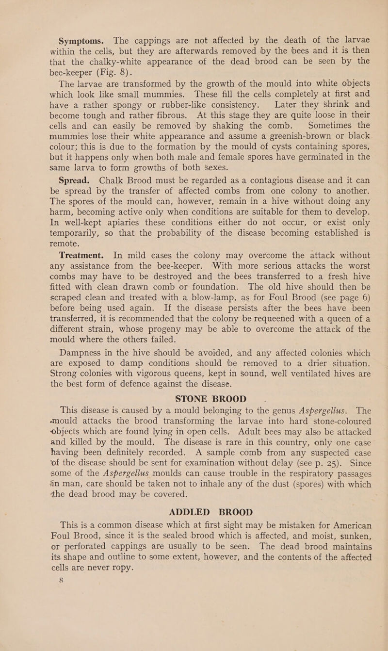 Symptoms. The cappings are not affected by the death of the larvae within the cells, but they are afterwards removed by the bees and it is then that the chalky-white appearance of the dead brood can be seen by the bee-keeper (Fig. 8). The larvae are transformed by the growth of the mould into white objects which look like small mummies. These fill the cells completely at first and have a rather spongy or rubber-like consistency. Later they shrink and become tough and rather fibrous. At this stage they are quite loose in their cells and can easily be removed by shaking the comb. Sometimes the mummies lose their white appearance and assume a greenish-brown or black. colour; this is due to the formation by the mould of cysts containing spores, but it happens only when both male and female spores have germinated in the same larva to form growths of both sexes. Spread. Chalk Brood must be regarded as a contagious disease and it can be spread by the transfer of affected combs from one colony to another. The spores of the mould can, however, remain in a hive without doing any harm, becoming active only when conditions are suitable for them to develop. In well-kept apiaries these conditions either do not occur, or exist only temporarily, so that the probability of the disease becoming established is remote. Treatment. In mild cases the colony may overcome the attack without any assistance from the bee-keeper. ‘With more serious attacks the worst combs may have to be destroyed and the bees transferred to a fresh hive fitted with clean drawn comb or foundation. The old hive should then be scraped clean and treated with a blow-lamp, as for Foul Brood (see page 6) before being used again. If the disease persists after the bees have been transferred, it is recommended that the colony be requeened with a queen of a different strain, whose progeny may be able to overcome the attack of the mould where the others failed. Dampness in the hive should be avoided, and any affected colonies which are exposed to damp conditions should be removed to a drier situation. Strong colonies with vigorous queens, kept in sound, well ventilated hives are the best form of defence against the disease. STONE BROOD This disease is caused by a mould belonging to the genus Aspergellus. The ‘mould attacks the brood transforming the larvae into hard stone-coloured ‘objects which are found lying in open cells. Adult bees may also be attacked and killed by the mould. The disease is rare in this country, only one case having been definitely recorded. A sample comb from any suspected case ‘of the disease should be sent for examination without delay (see p. 25). Since some of the AsPergellus moulds can cause trouble in the respiratory passages ‘in man, care should be taken not to inhale any of the dust (spores) with which ‘the dead brood may be covered. ADDLED BROOD This is a common disease which at first sight may be mistaken for American Foul Brood, since it is the sealed brood which is affected, and moist, sunken, or perforated cappings are usually to be seen. The dead brood maintains its shape and outline to some extent, however, and the contents of the affected cells are never ropy.
