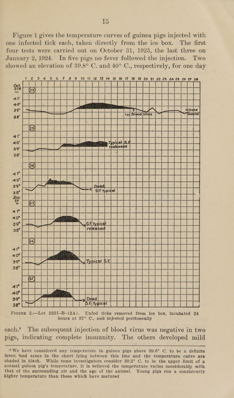 Figure 1 gives the temperature curves of guinea pigs injected with one infected tick each, taken directly from the ice box. The first four tests were eeacioal out on October 31, 1923, the last three on January 2,1924. In five pigs no fever followed the injection. Two showed an elevation of 39.8° C. and 40° C., respectively, for one day                       a ee ea 10 11 12 13 14 15 16 17 18 19 20 21 22 23 24 25 26 27 26 ; pst bots ashe bod 0 cil gl $8 AS ME AAMNaa eS Zasken se -. (ea ae Pe A a a9 SN LL thledse re iat) a sh nc) A eC ce x Ae Fr ee a re ate ae 47 Ee ee 40° iss ates 3% a pee eat ea wile i ia aw a Fee oe ba See ae oe 39° et is em oo 38° corpealan ead Jon. pallies] + leg exa! el ae a Co Oy 4? Fe eg es ee a lace ak 40° “ SSRe eee 59 ae | IsFltypical_| ES Ee Ge or ool cy ai se | ease ee po hep eve ee Piet eit sepa Pelee date: [3 te th bheald ESSE Sze art tt Pease eee aot | | | | la Ma it ab Pee eee ial ps eh add cL Sh hedheoh ed RAR ee eit 2@2ER R22 Sree e wi ee ee ey Pica eel ee” ee eee so] | Lee ipsa alinels de Vivo ol at ae    ee LyDead| |_| pete lc ieee Peer ol cheb eh eT vel le FicgurRE 2.—Lot 2351-B-—(2A). Unfed ticks removed from ice box, incubated 24 hours at 87° C., and injected peritoneally each.? The subsequent injection of blood virus was negative in two pigs, indicating complete immunity. The others developed mild  ® We have considered any temperature in guinea pigs above 39.6° C. to be a definite fever, and areas in the chart lying between this line and the temperature curve are shaded in black. While some investigators consider 39.2° C. to be the upper limit of a normal guinea pig’s temperature, it is believed the temperature varies considerably with that of the surrounding air and the age of the animal. Young pigs run a consistently higher temperature than those which have matured