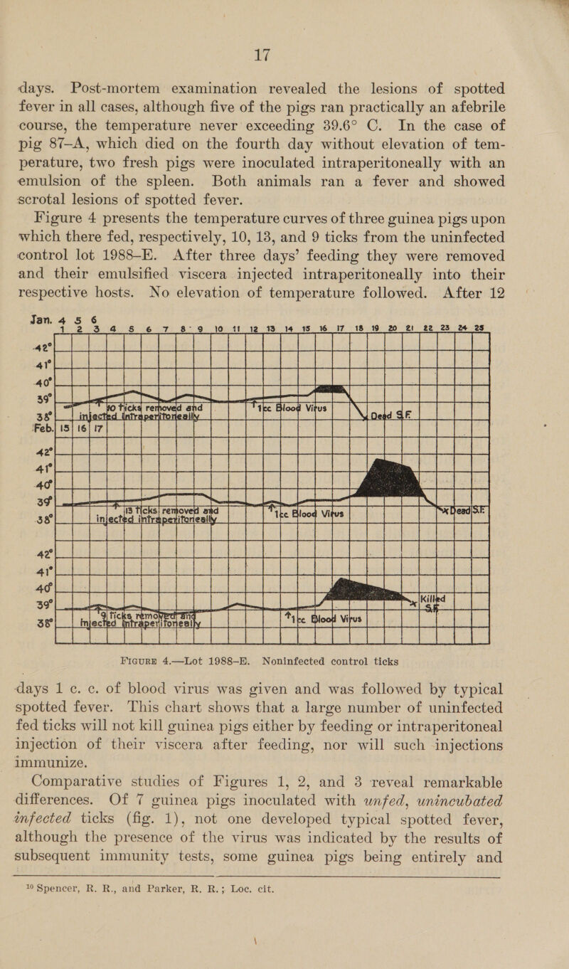 days. Post-mortem examination revealed the lesions of spotted fever in all cases, although five of the pigs ran practically an afebrile course, the temperature never exceeding 39.6° C. In the case of pig 87—A, which died on the fourth day without elevation of tem- perature, two fresh pigs were inoculated intraperitoneally with an emulsion of the spleen. Both animals ran a fever and showed scrotal lesions of spotted fever. Figure 4 presents the temperature curves of three guinea pigs upon which there fed, respectively, 10, 138, and 9 ticks from the uninfected control lot 1988-E. After three days’ feeding they were removed and their emulsified viscera injected intraperitoneally into their respective hosts. No elevation of temperature followed. After 12 21 22 23 2 2  Figure 4.—Lot 1988-E. Noninfected control ticks days 1c. c. of blood virus was given and was followed by typical spotted fever. This chart shows that a large number of uninfected fed ticks will not kill guinea pigs either by feeding or intraperitoneal injection of their viscera after feeding, nor will such injections immunize. Comparative studies of Figures 1, 2, and 3 reveal remarkable differences. Of 7 guinea pigs inoculated with unfed, unincubated infected ticks (fig. 1), not one developed typical spotted fever, although the presence of the virus was indicated by the results of subsequent immunity tests, some guinea pigs being entirely and