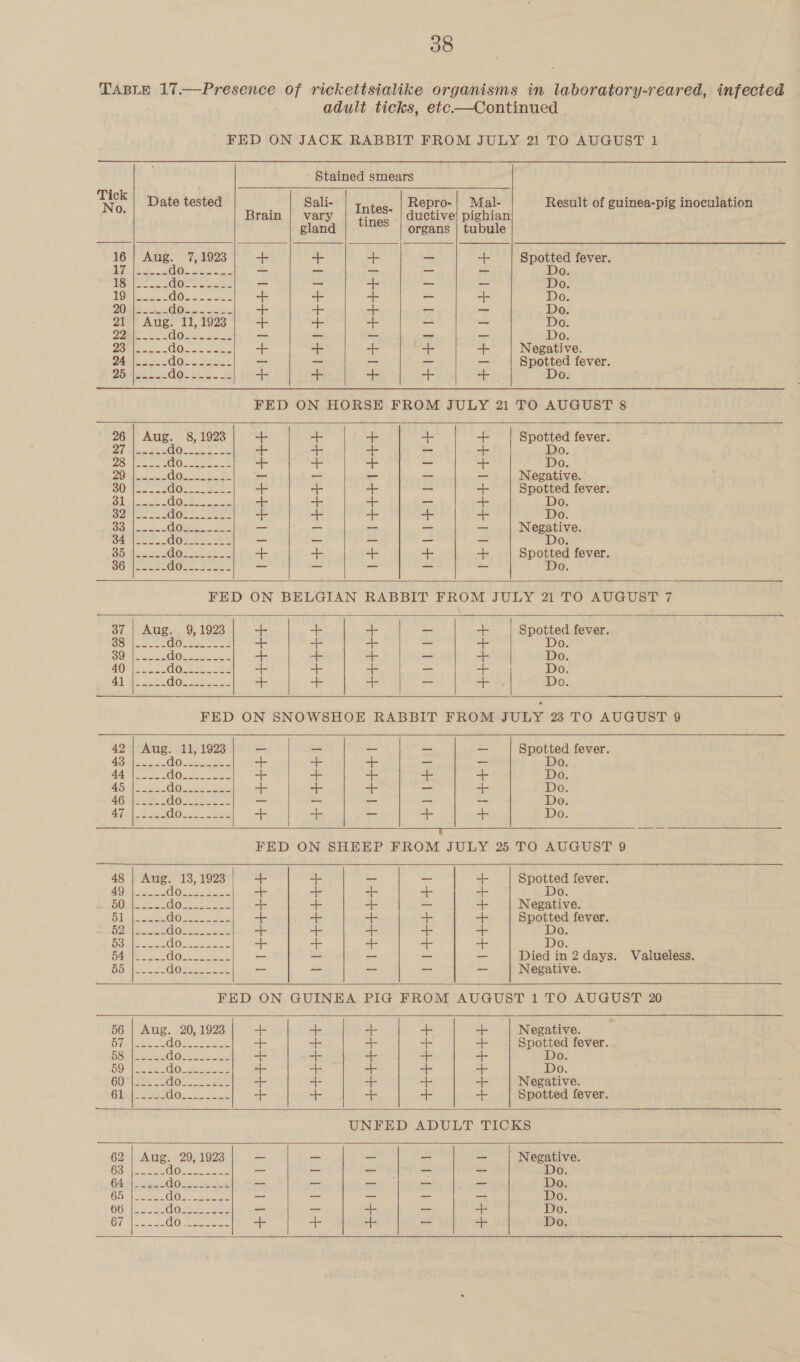 adult ticks, etc.—Continued FED ON JACK RABBIT FROM JULY 21 TO AUGUST 1  Tick Stained smears                 No Date tested Sali- tnies Repro-| Mal- Result of guinea-pig inoculation : Brain | vary Hv ductive} pighian gland organs | tubule 16) Aug. 7, 1923 + + -|- —_ + Spotted fever. a Slee ee Oe esis ese - —- — _ - Do. 4 ape Qoeteeees _ - + _ a Do. TOME 2 (a oye mete ee a + + o ae Do. J) | ae + sic + &gt; - Do. 21 | Aug. 11, 1923 + + + _ a Do. PE. | EGS GO ee —_ _ _ - = Do. D5, | aoe GOnon saee 4 + + a oe Negative. O24 | cse Gots sie -4 ~ ~ = _ = Spotted fever. Dowie 238 doze. 2 a + fb oe oe Do. FED ON HORSE FROM JULY 21 TO AUGUST 8 26 | Aug. 8, 1928 be + + a ae Spotted fever. 4 pal a O. ae go oe + a y as id Do. 87 leteee G0 sete + ao + _ a. Do. BOS aoe (6c ee an 2 - — = —_ _ Negative. 310 }iieeyaee GOn =. Soe + + + — + Spotted fever. ails |e aloe eee ok a. + —_ - Do. Syeiee eee Ok: 25ers + + + + + Do. Soialee es (oo) 2 Seana - _ _ — _ Negative. 2 doe 25.52 _ _ _ - _ Do. Sones 352 COO eee eae ++ + + + + Spotted fever. SO eeees Goo. forse _ _ — — — Do. FED ON BELGIAN RABBIT FROM JULY 21 TO AUGUST 7 387 | Aug. 9, 1923 + + + = + Spotted fever. hod elle i ct i = ae se = i Do. 53a eee dO ss-2 2 ao 4. =: _ Do. “a ig eae GOee oes i a ei — ={ Do. aM ee MO se. a ae ae = si | Do. AS a ea. 2 do AGS ae do (Ni oe do i do fly a ee ae do  FED ON SNOWSHOE RABBIT FROM JULY 23 TO AUGUST 9  Spotted fever. eee She + + Si = = Do Cecnats = = ar +e + Do. ee + + = = ne Do. reprise _ a — — — Do. Meee + a — ig + Do.  FED ON SHEEP FROM JULY 25 TO AUGUST 9  48 | Aug. 138, 1923 + + _ _ + Spotted fever. AQ Nn ae: | + + a i 7 Do. BOs See GOes cee + + + — + Negative. (ss eee GO2gen Ss +- + + + + Spotted fever. OOS Same GOLcenckels a ae a- +- + Do. Boe oore G0-eteres ++ =f -+- a a. Do. OMA 8 GOs eae a _ - oo = Died in 2 days. Valueless. BS Ase oe Gos anes _ — — — — Negative.    FED ON GUINEA PIG FROM AUGUST 1 TO AUGUST 20       56 | Aug. 20, 1923 + + + afc + Negative. Ole |eeeS Goes s22 + +- + + + Spotted fever. pSaieawess Gores i ic a 5 a Do. OG ease OKO ee cs = i 7 = Do. OUM|zee Got es + +- + + + Negative. Glut. 2205 OS sas + + + + + Spotted fever. UNFED ADULT TICKS 62 | Aug. 29, 1923 = =_ _ - _ Negative. 63iieceee GOsaeaa aes _ — _ — _ Do. CA thee GOsss e226 _ _ _ _ _ Do. Gbyioseee (6 Kc a et — ~- — - _ Do. 66; Laos Osha sie _ _ + _ + Do. ies eee GOs eee + +- + _ + Do. 