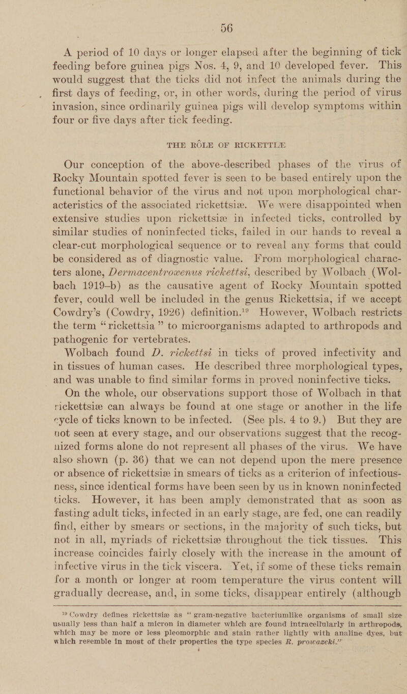 A period of 10 days or longer elapsed after the beginning of tick feeding before guinea pigs Nos. 4, 9, and 10 developed fever. This would suggest that the ticks did not infect the animals during the first days of feeding, or, in other words, during the period of virus invasion, since ordinarily guinea pigs will develop symptoms within four or five days after tick feeding. THE ROLE OF RICKETTLE Our conception of the above-described phases of the virus of Rocky Mountain spotted fever is seen to be based entirely upon the functional behavior of the virus and not upon morphological char- acteristics of the associated rickettsiw. We were disappointed when extensive studies upon rickettsiz in infected ticks, controlled by similar studies of noninfected ticks, failed in our hands to reveal a clear-cut morphological sequence or to reveal any forms that could be considered as of diagnostic value. From morphological charac- ters alone, Dermacentroxenus rickettsi, described by Wolbach (Wol- bach 1919-b) as the causative agent of Rocky Mountain spotted fever, could well be included in the genus Rickettsia, if we accept Cowdry’s (Cowdry, 1926) definition..® However, Wolbach restricts the term “rickettsia ” to microorganisms adapted to arthropods and pathogenic for vertebrates. Wolbach found D. rickettst in ticks of proved infectivity and in tissues of human cases. He described three morphological types, and was unable to find similar forms in. proved noninfective ticks. On the whole, our observations support those of Wolbach in that rickettsie can always be found at one stage or another in the life cycle of ticks known to be infected. (See pls. 4 to 9.) But they are not seen at every stage, and our observations suggest that the recog- nized forms alone do not represent all phases of the virus. We have also shown (p. 86) that we can not depend upon the mere presence or absence of rickettsiz in smears of ticks as a criterion of infectious- ness, since identical forms have been seen by us in known noninfected ticks. However, it has been amply demonstrated that as soon as fasting adult ticks, infected in an early stage, are fed, one can readily find, either by smears or sections, in the majority of such ticks, but not in all, myriads of rickettsie throughout the tick tissues. This increase coincides fairly closely with the increase in the amount of infective virus in the tick viscera. Yet, if some of these ticks remain for a month or longer at room temperature the virus content will gradually decrease, and, in some ticks, disappear entirely (although 19 Cowdry defines rickettsia as ‘“ gram-negative bacteriumlike organisms of small size usually less than half a micron in diameter which are found intracellularly in arthropods. which may be more or less pleomorphic and stain rather lightly with analine dyes, but which resemble in most of their properties the type species R. prowazeki.?’ j