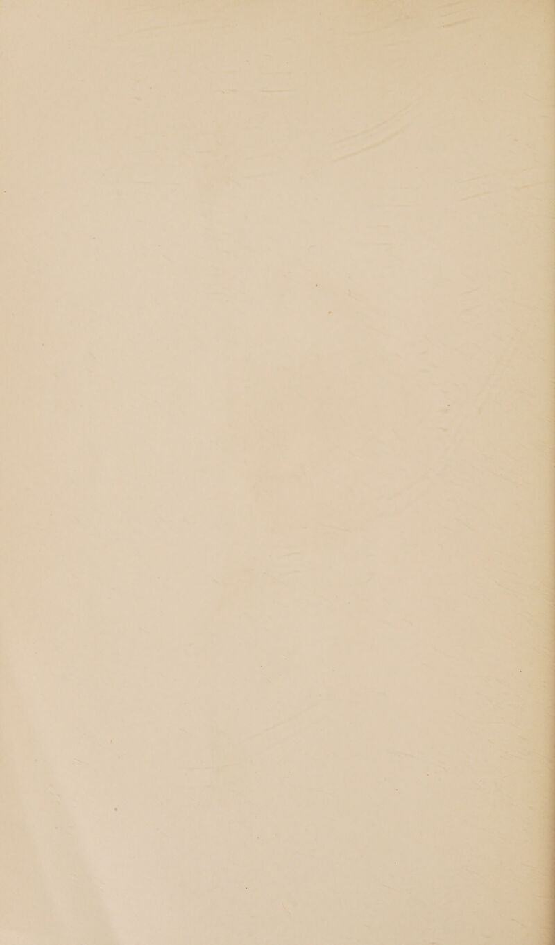 t _ a : Pye &gt; a ] cite cn  _ 7 ¥ : FF sid ee vial, = od i es i*¥ : } p a (foe A Os # Res 4 : ; = ly x ’ 7 a ae - 7 A te. . ,] 7 ' pat. oh on ie . : 7 s ~~, ” o jy » . ne . aa soa a... ia - es 2 3 s 7” a1 ~ = ® C= 7 7 | ne _ re ; ; -_ 1 ae i! _@a &amp; ' its ’ i e — ¥ q ’ 2 ‘ * s : 7 ails ati, &lt;3 » F jl 4 F a oi . Ai —aet P 7 Si * - ~, nN ;  ? ‘ . ry ms 7 i 4 ? ;u ~ FA ae a a ‘2 aS a 