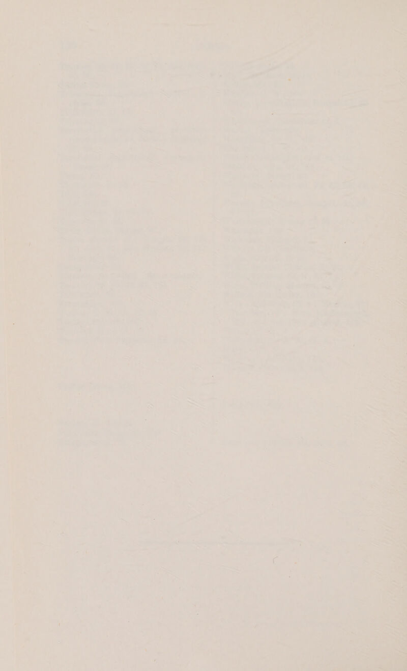 oe . Saimme hes, x, au? aT ro? << Pia, ac. ; as ue oe. Srp Sotho emeetse te a ox pleas ee. AWS, 4 4 yh, Taw, Mans eae rhe _ wi ae Poe a eae eed ¢ manele Baek Ay) cat a ae sabe 8 % Seen one ASsar eel ee athe pn ane rave baal Se oes = Gi 7