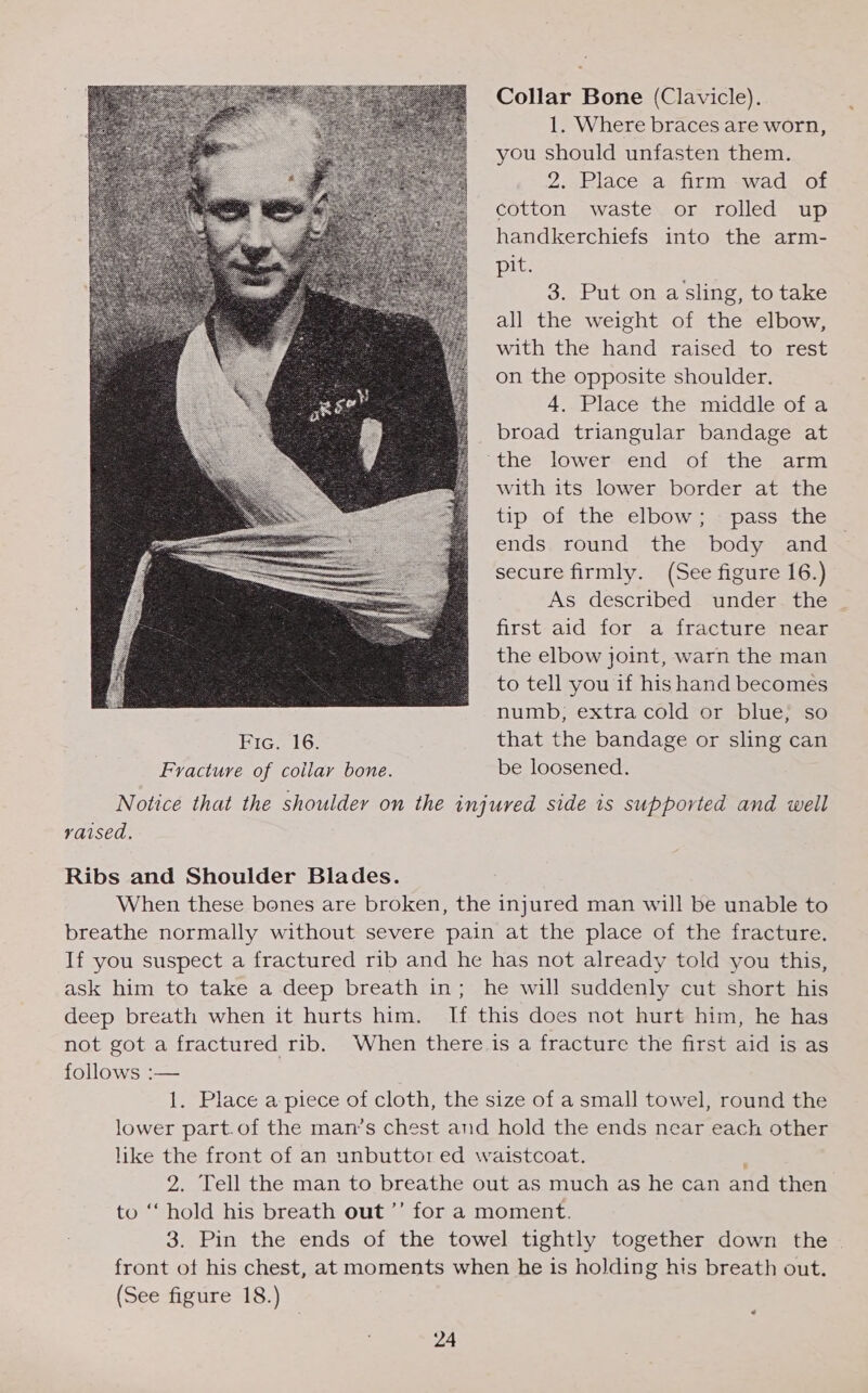 Collar Bone (Clavicle). 1. Where braces are worn, you should unfasten them. 2. Place a firm -wad of cotton waste or rolled up handkerchiefs into the arm- pit. 3. Put on asling, to take all the weight of the elbow, with the hand raised to rest on the opposite shoulder. 4. Place the middle ofa broad triangular bandage at ‘the lower end of the arm with its lower border at the tip of the elbow; pass the ends round the body and secure firmly. (See figure 16.) As described under the first aid for a fracture near the elbow joint, warn the man to tell you if his hand becomes numb; extra cold or blue; so Fic. 16. that the bandage or sling can Fracture of coilar bone. be loosened. Notice that the shoulder on the injured side is supported and well vaised,  Ribs and Shoulder Blades. When these bones are broken, the injured man will be unable to breathe normally without severe pain at the place of the fracture. If you suspect a fractured rib and he has not already told you this, ask him to take a deep breath in; he will suddenly cut short his deep breath when it hurts him. If this does not hurt him, he has not got a fractured rib. When there is a fracture the first aid is as follows :— 1. Place a piece of cloth, the size of a small towel, round the lower part.of the man’s chest and hold the ends near each other like the front of an unbuttor ed waistcoat. 2. Tell the man to breathe out as much as he can and then to “hold his breath out ’’ for a moment. 3. Pin the ends of the towel tightly together down the front ot his chest, at moments when he is holding his breath out. (See figure 18.)
