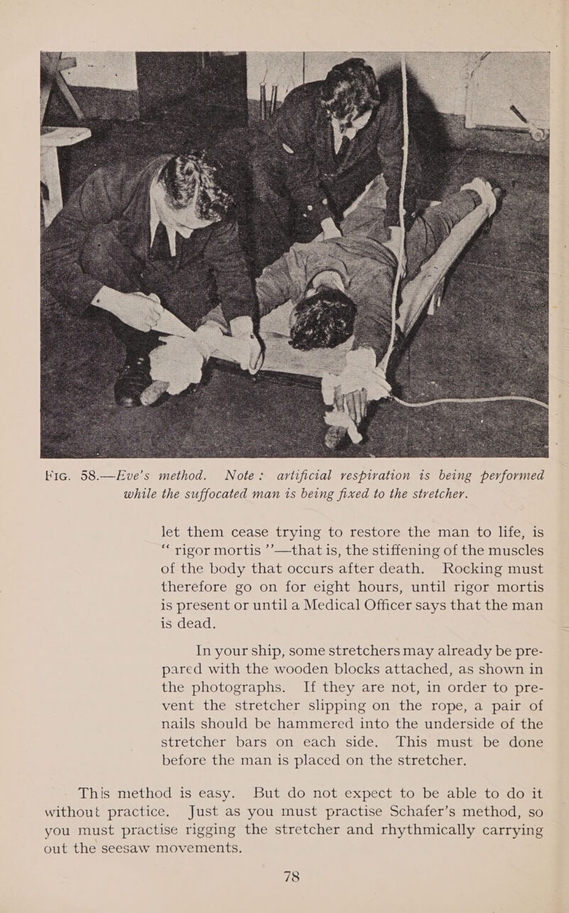  let them cease trying to restore the man to life, is “rigor mortis ’’—that is, the stiffening of the muscles of the body that occurs after death. Rocking must therefore go on for eight hours, until rigor mortis is present or until a Medical Officer says that the man is dead. In your ship, some stretchers may already be pre- pared with the wooden blocks attached, as shown in the photographs. If they are not, in order to pre- vent the stretcher slipping on the rope, a pair of nails should be hammered into the underside of the stretcher bars on each side. This must be done before the man is placed on the stretcher. This method is easy. But do not expect to be able to do it without practice. Just as you must practise Schafer’s method, so you must practise rigging the stretcher and rhythmically carrying out the seesaw movements.