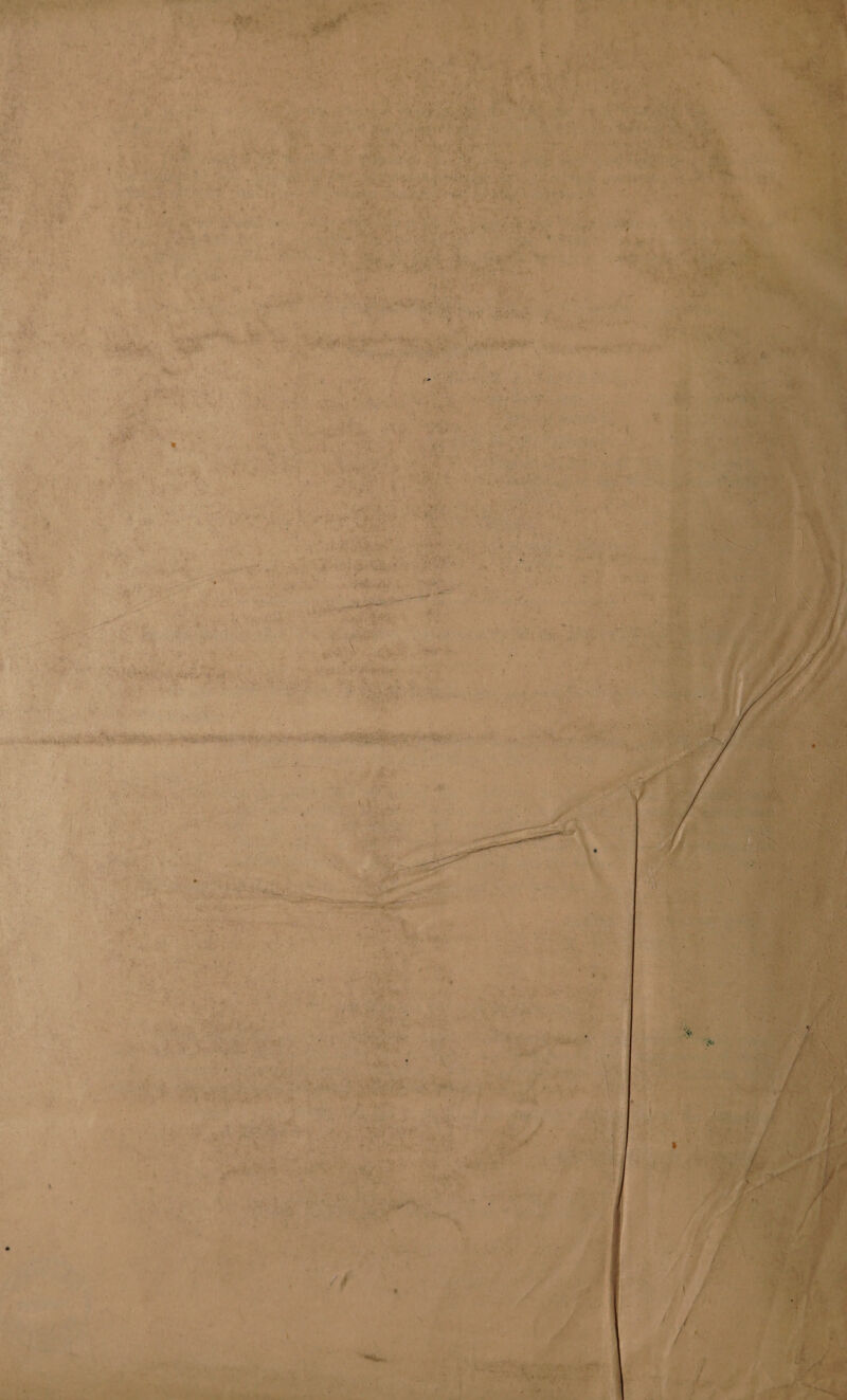     bg Kb AS by NS ‘ t Sa  