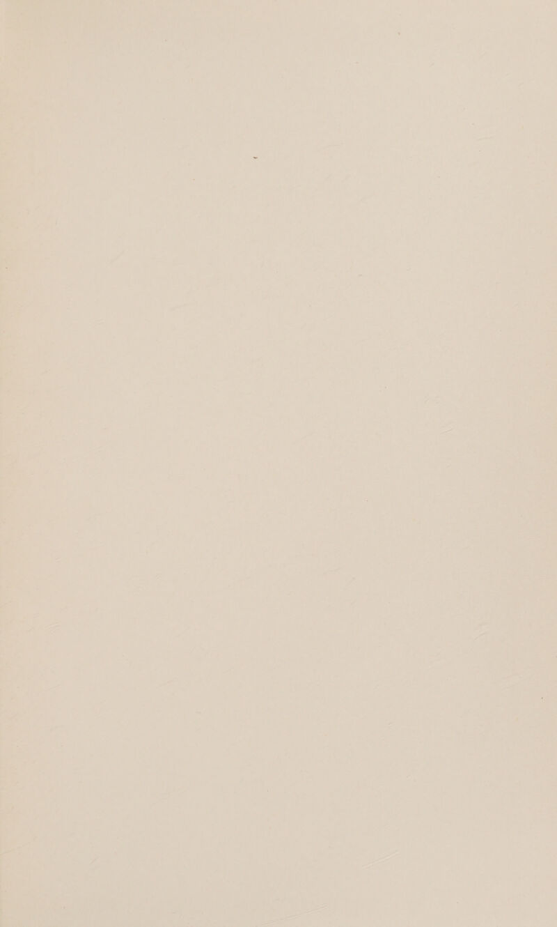 ea om TL ; yelen (A : Era ey ae lor 