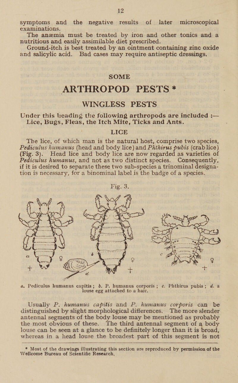 symptoms and the negative results of later microscopical examinations. The anemia must be treated by iron and other tonics and a nutritious and easily assimilable diet prescribed. Ground-itch is best treated by an ointment containing zinc oxide and salicylic acid. Bad cases may require antiseptic dressings. SOME ARTHROPOD PESTS * WINGLESS PESTS Under this heading the following arthropods are included :— Lice, Bugs, Fleas, the Itch Mite, Ticks and Ants. LICE The lice, of which man is the natural host, comprise two species, Pediculus humanus (head and body lice) and Phthirus pubis (crab lice) (Fig. 3). Head lice and body lice are now regarded as varieties of Pediculus humanus, and not as two distinct species. Consequently, if it is desired to separate these two sub-species a trinominal designa- tion is necessary, for a binominal label is the badge of a species.  Usually P. humanus capitis and P. humanus corporis can be distinguished by slight morphological differences. The more slender antennal segments of the body louse may be mentioned as probably the most obvious of these. The third antennal segment of a body louse can be seen at a glance to be definitely longer than it is broad, whereas in a head louse the broadest part of this segment is not  * Most of the drawings illustrating this section are reproduced by permission of the Wellcome Bureau of Scientific Research,