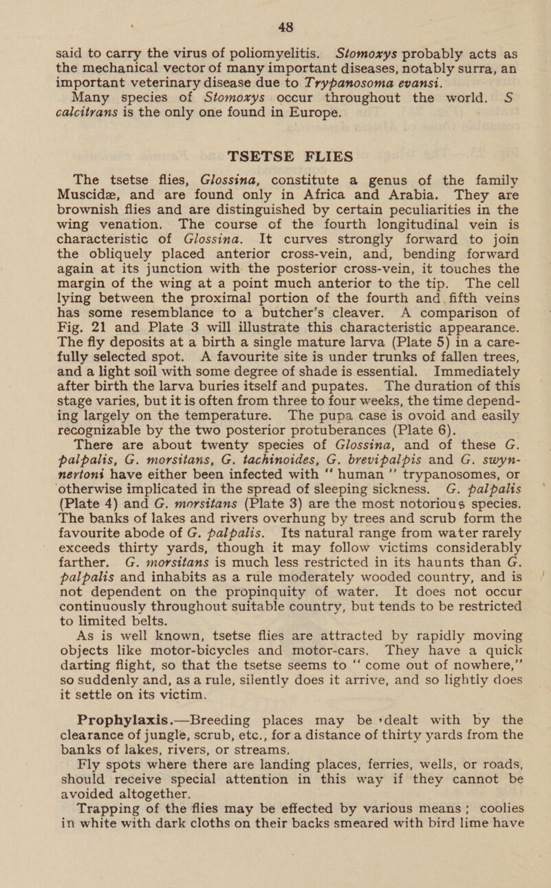 said to carry the virus of poliomyelitis. Stomoxys probably acts as the mechanical vector of many important diseases, notably surra, an important veterinary disease due to Trypanosoma evansi. Many species of Stomoxys occur throughout the a S calcitrans is the only one found in Europe. TSETSE FLIES The tsetse flies, Glossina, constitute a genus of the family Muscide, and are found only in Africa and Arabia. They are brownish flies and are distinguished by certain peculiarities in the wing venation. The course of the fourth longitudinal vein is characteristic of Glossina. It curves strongly forward to join the obliquely placed anterior cross-vein, and, bending forward again at its junction with the posterior cross-vein, it touches the margin of the wing at a point much anterior to the tip. The cell lying between the proximal portion of the fourth and _ fifth veins has some resemblance to a butcher’s cleaver. A comparison of Fig. 21 and Plate 3 will illustrate this characteristic appearance. The fly deposits at a birth a single mature larva (Plate 5) in a care- fully selected spot. A favourite site is under trunks of fallen trees, and a light soil with some degree of shade is essential. Immediately after birth the larva buries itself and pupates. The duration of this stage varies, but it is often from three to four weeks, the time depend- ing largely on the temperature. The pupa case is ovoid and easily recognizable by the two posterior protuberances (Plate 6). There are about twenty species of Glossina, and of these G. palpalis, G. morsitans, G. tachinoides, G. brevipalpis and G. swyn- nertont have either been infected with ‘‘ human ”’ trypanosomes, or ‘otherwise implicated in the spread of sleeping sickness. G. palpalis (Plate 4) and G. morsitans (Plate 3) are the most notorious species. The banks of lakes and rivers overhung by trees and scrub form the favourite abode of G. palpalis. Its natural range from water rarely exceeds thirty yards, though it may follow victims considerably farther. G. morsitans is much less restricted in its haunts than G. palpalis and inhabits as a rule moderately wooded country, and is not dependent on the propinquity of water. It does not occur continuously throughout suitable country, but tends to be restricted to limited belts. As is well known, tsetse flies are attracted by rapidly moving objects like motor-bicycles and motor-cars. They have a quick darting flight, so that the tsetse seems to ‘‘ come out of nowhere,” so suddenly and, asarule, silently does it arrive, and so lightly does it settle on its victim. Prophylaxis.—Breeding places may be *dealt with by the clearance of jungle, scrub, etc., for a distance of thirty yards from the banks of lakes, rivers, or streams. Fly spots where there are landing places, ferries, wells, or roads, should receive special attention in this way if they cannot be avoided altogether. Trapping of the flies may be effected by various means; coolies in white with dark cloths on their backs smeared with bird lime have