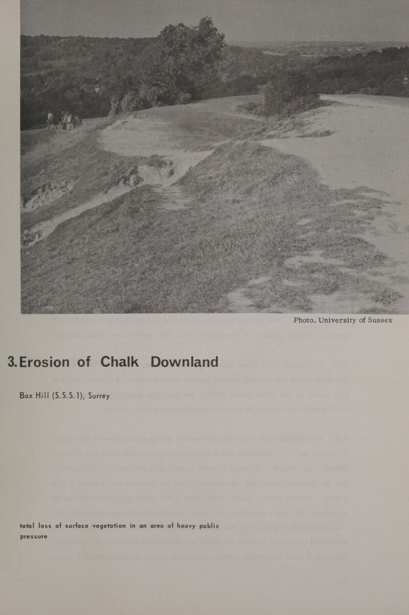 3.Erosion of Chalk Downland Box Hill ($.S.S.1), Surrey total loss of surface vegetation in an area of heavy public pressure