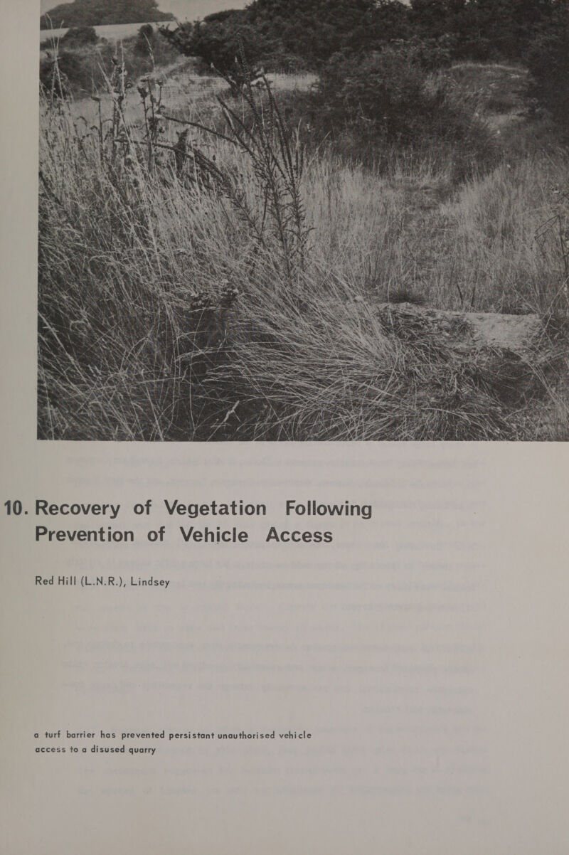 ing Follow ion Recovery of Vegetat 10 le Access Ic ion of Veh Prevent indsey L ), R N L ier has prevented persistant unauthorised vehicle ( Red H a turf barr access to a disused quarry