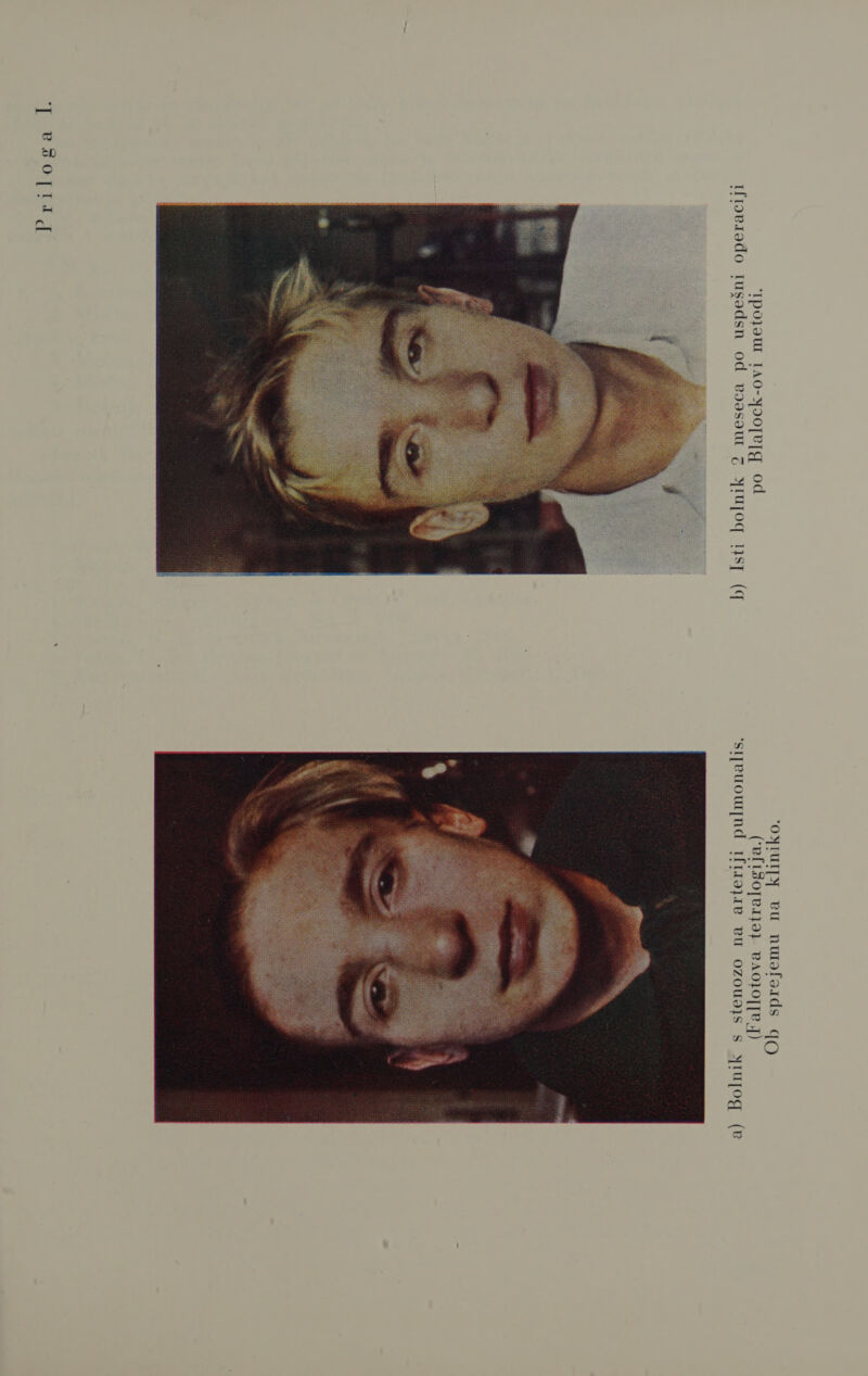 OJuIJy vu nuofsids qo IPoJ19UWI TAO-MDO[LIG Od ('VLILJOTLIJHAJĆ PAOJOJ[P.T) Iroerodo rtusodsn od voosvu g ojrujoq 1sg (q 'stjruouwjnd Ifriogre vu ozougjs s yrujog (e  . - ] BPSOT[TII [