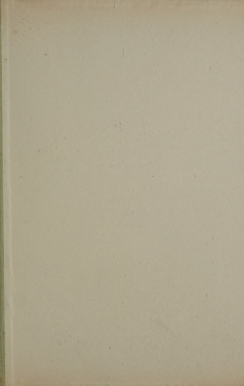 naso —T “7, ser=T M pe =  VS) : a e INEL da raislou š S; LE bI A“ s 4 ME A inat ; 1 m MEMA, SR 2 e: A Li 3 o . B PI + : : “ 5. I . o i \ na. i č 4 a ' ša 4 2% . ' So , *. is 1 A ot u y IK bj : “ i 4 : Ti Ž jao ne S Drnja. ' , 2 VE“ 7 Kuri Eak “ š 4 k kg , TA 