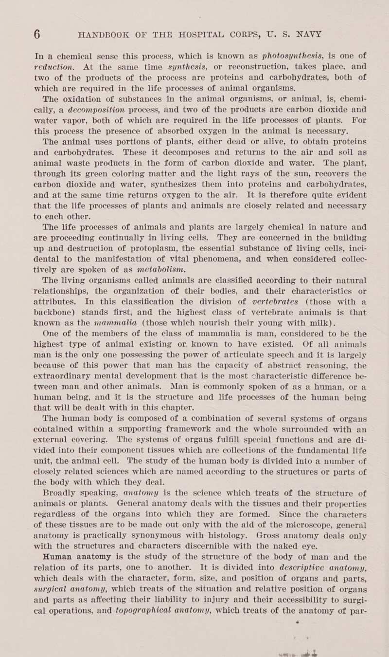 In a chemical sense this process, which is known as photosynthesis, is one of reduction. At the same time synthesis, or reconstruction, takes place, and two of the products of the process are proteins and carbohydrates, both of which are required in the life processes of animal organisms, The oxidation of substances in the animal organisms, or animal, is, chemi- cally, a decomposition process, and two of the products are carbon dioxide and water vapor, both of which are required in the life processes of plants. For this process the presence of absorbed oxygen in the animal is necessary. The animal uses portions of plants, either dead or alive, to obtain proteins and carbohydrates. These it decomposes and returns to the air and soil as animal waste products in the form of carbon dioxide and water. The plant, through its green coloring matter and the light rays of the sun, recovers the carbon dioxide and water, synthesizes them into proteins and carbohydrates, and at the same time returns oxygen to the air. It is therefore quite evident that the life processes of plants and animals are closely related and necessary to each other. The life processes of animals and plants are largely chemical in nature and are proceeding continually in living cells. They are concerned in the building up and destruction of protoplasm, the essential substance of living cells, inci- dental to the manifestation of vital phenomena, and when considered collec- tively are Spoken of as metabolism. The living organisms called animals are classified according to their natural relationships, the organization of their bodies, and their characteristics or attributes. In this classification the division of vertebrates (those with a backbone) stands first, and the highest class of vertebrate animals is that known as the mammalia (those which nourish their young with milk). One of the members of the class of mammalia is man, considered to be the highest type of animal existing or, known to have existed. Of all animals man is the only one possessing the power of articulate speech and it is largely because of this power that man has the capacity of abstract reasoning, the extraordinary mental development that is the most characteristic difference be- tween man and other animals. Man is commonly spoken of as a human, or a human being, and it is the structure and life processes of the human being that will be dealt with in this chapter. The human body is composed of a combination of several systems of organs contained within a supporting framework and the whole surrounded with an external covering. The systems of organs fulfill special functions and are di- vided into their component tissues which are collections of the fundamental life unit, the animal cell. The study of the human body is divided into a number of closely related sciences which are named according to the structures or parts of the body with which they deal. Broadly speaking, anatomy is the science which treats of the structure of animals or plants. General anatomy deals with the tissues and their properties regardless of the organs into which they are formed. Since the characters of these tissues are to be made out only with the aid of the microscope, general anatomy is practically synonymous with histology. Gross anatomy deals only with the structures and characters discernible with the naked eye. Human anatomy is the study of the structure of the body of man and the relation of its parts, one to another. It is divided into descriptive anatomy, which deals with the character, form, size, and position of organs and parts, surgical anatomy, which treats of the situation and relative position of organs and parts as affecting their liability to injury and their accessibility to surgi- cal operations, and topographical anatomy, which treats of the anatomy of par-