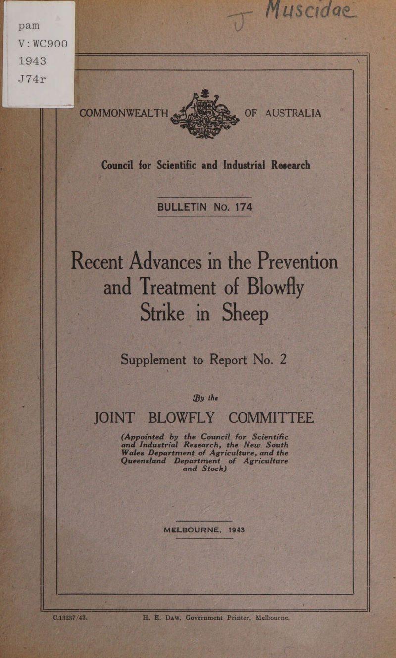      pam V: WC900      1943 Ve rae OF AUSTRALIA : 2 ee << i ieee Capeaeaas         Lat BULLETIN No.174           \dvances i in the Prevention : | ‘reatment of aay he ee. Strike in ‘Sh 1eep 4 : , : ie ieee to cag Moe ee XK OINT -BLOWF PLY. ‘COMMITTEE. | | Appointed ‘by the: Couneil for Scventific : 2 2 and Industrial Research, the New South ‘Wales Department of Mgricalturs, and the - poe Department of Agriculture and isch)  MELBOURNE, 1943  
