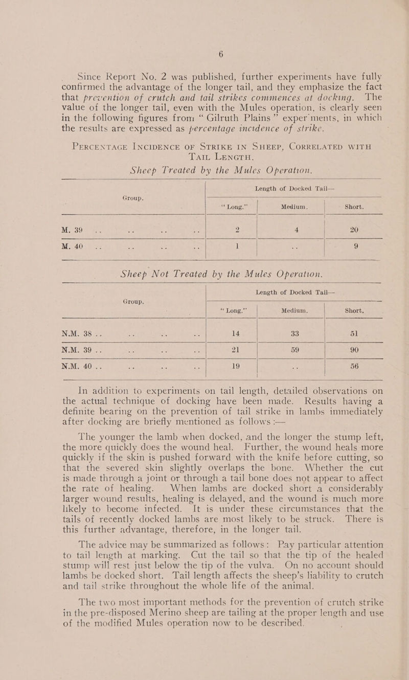 Since Report No. 2 was published, further experiments have fully confirmed the advantage of the longer tail, and they emphasize the fact that prevention of crutch and tail strikes commences at docking. The value of the longer tail, even with the Mules operation, 1s clearly seen in the following figures from “ Gilruth Plains’ exper ments, in which the results are expressed as percentage incidence of strike. PERCENTAGE INCIDENCE OF STRIKE IN SHEEP, CORRELATED WITH ‘PATO LENGEED. Sheep Treated by the Mules Operation. Length of Docked Tail— Group. SON ger Medium. Short. M. 39... 3 a es 2 4 20 M. 40... Le. es a 1 bg 9 Sheep Not Treated by the Mules Operation. Length of Docked Tail— Group. SeESGIa SE Pa ss Songs. Medium. Short. NE Mi essa a ahs fe 14 33 51 N.M. 39 .. ie fe A 21 59 90 N.M. 40... ey af oe 19 SA 56 | In addition to experiments on tail length, detailed observations on the actual technique of docking have been made. Results having a definite bearing on the prevention of tail strike in lambs immediately after docking are briefly mentioned as follows -— The younger the lamb when docked, and the longer the stump left, the more quickly does the wound heal. Further, the wound heals more quickly if the skin is pushed forward with the knife before cutting, so that the severed skin slightly overlaps the bone. Whether the cut is made through a joint or through a tail bone does not appear to affect the rate of healing. . When lambs are docked short a considerably larger wound results, healing is delayed, and the wound is much more likely to become infected. It is under these circumstances that the tails of recently docked lambs are most likely to be struck. There is this further advantage, therefore, in the longer tail. The advice may be summarized as follows: Pay particular attention to tail length at marking. Cut the tail so that the tip of the healed stump will rest just below the tip of the vulva. On no account should lambs be docked short. Tail length affects the sheep’s lability to crutch and tail strike throughout the whole life of the animal. The two most important methods for the prevention of crutch strike in the pre-disposed Merino sheep are tailing at the proper length and use of the modified Mules operation now to be described.